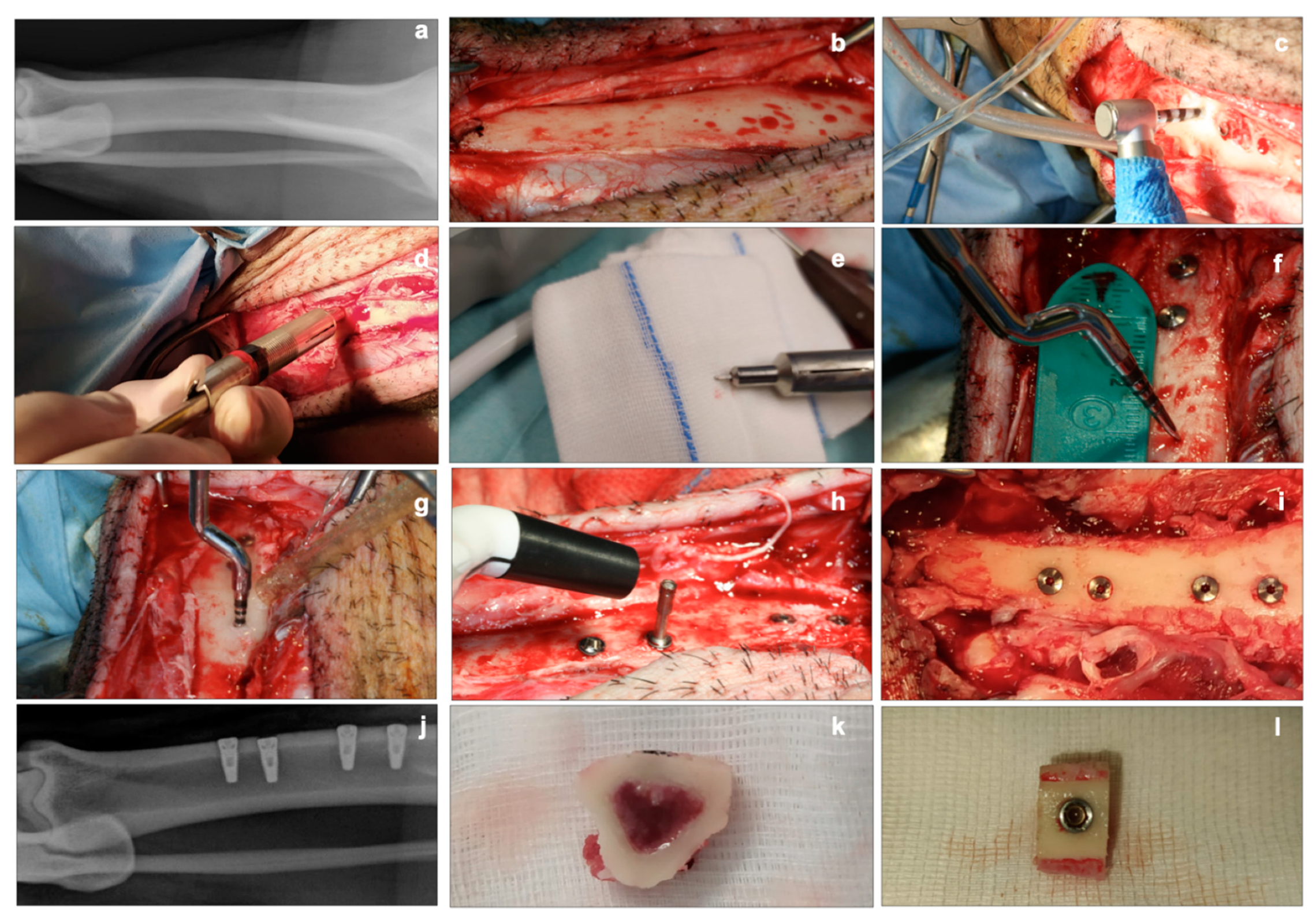 Materials 14 06945 g001