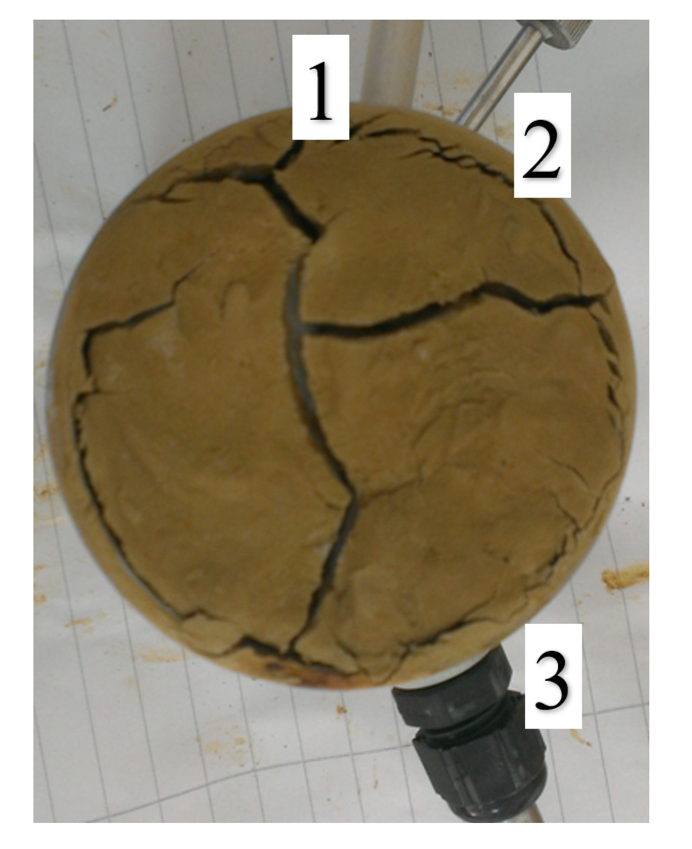 Materials 14 06963 g006 550