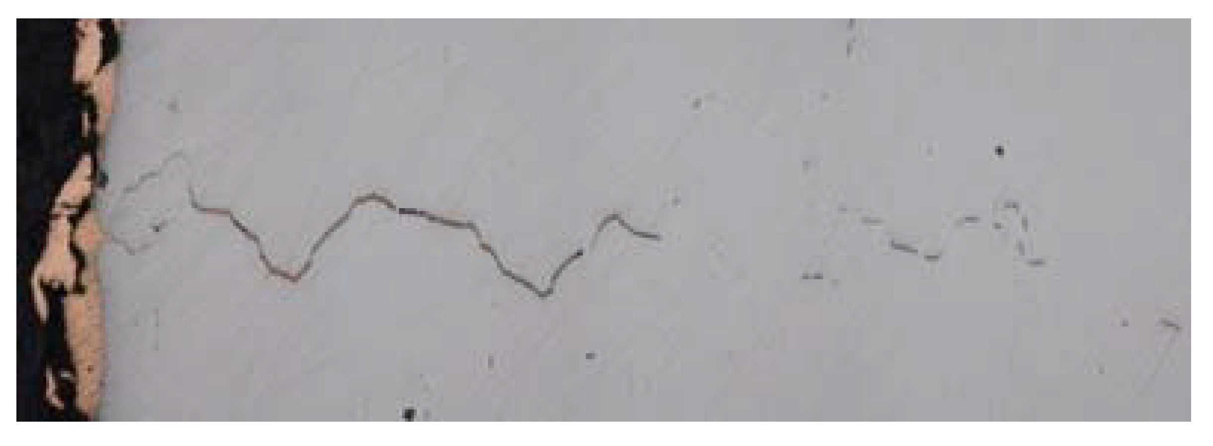 Materials 14 06978 g002 Materials 14 06978 g002