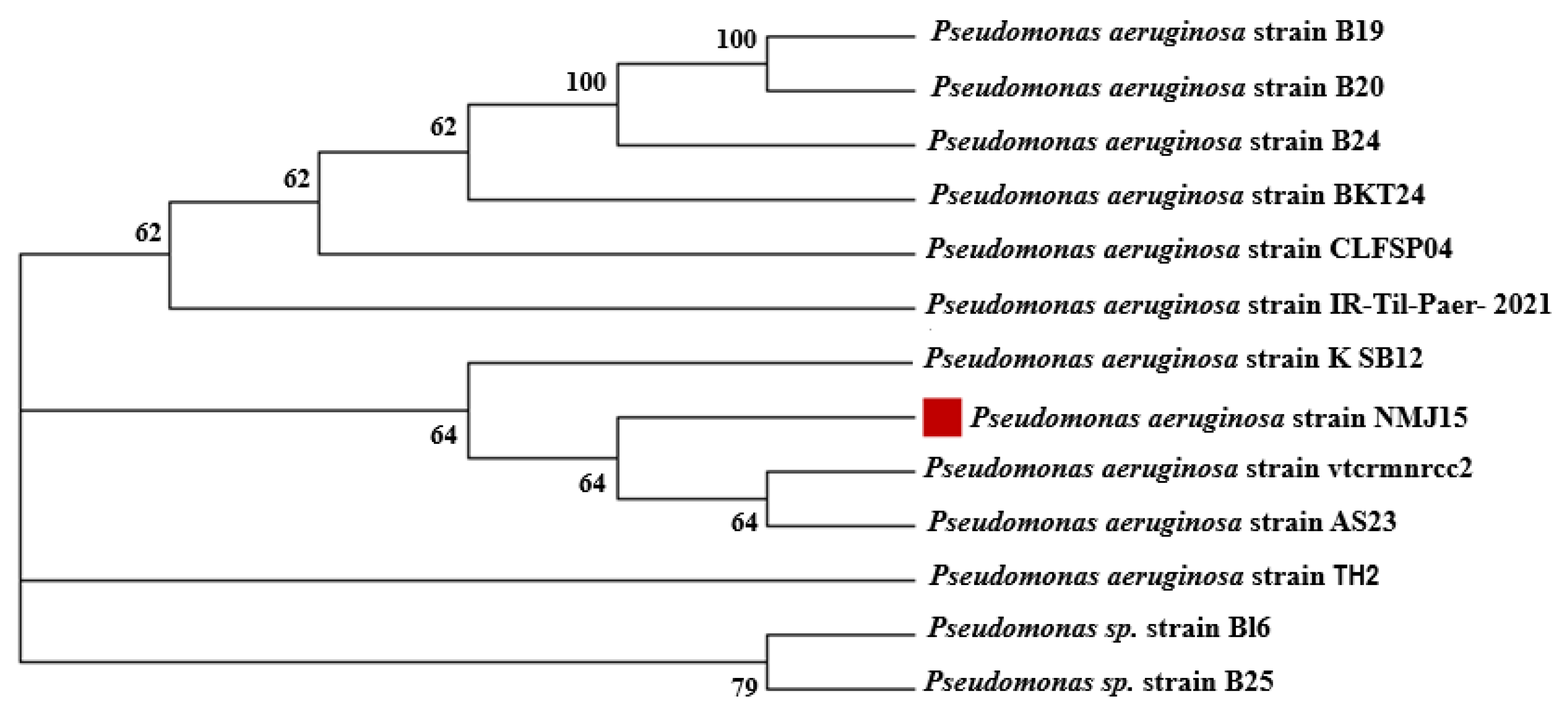 Materials 14 06983 g001