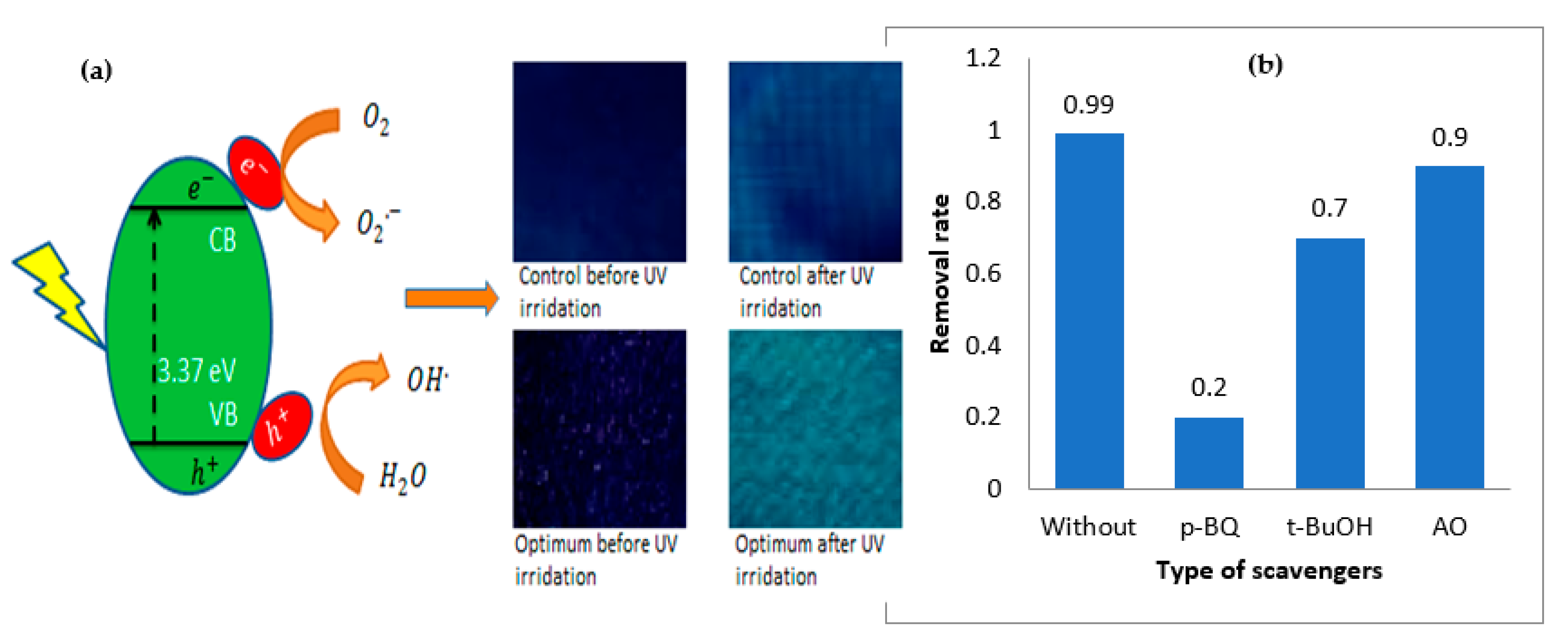 Materials 14 06998 g003 Materials 14 06998 g003