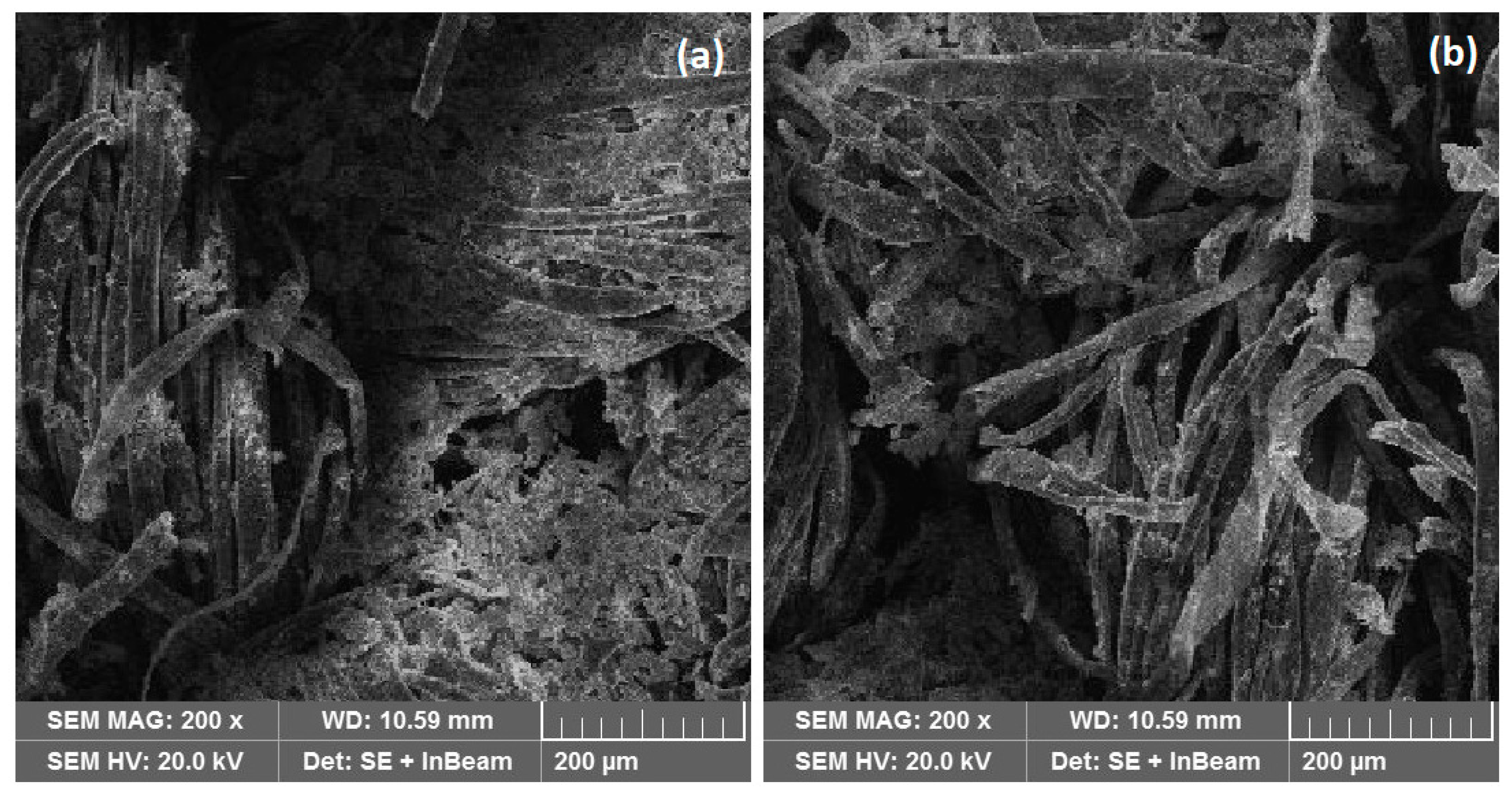 Materials 14 06998 g008 Materials 14 06998 g008