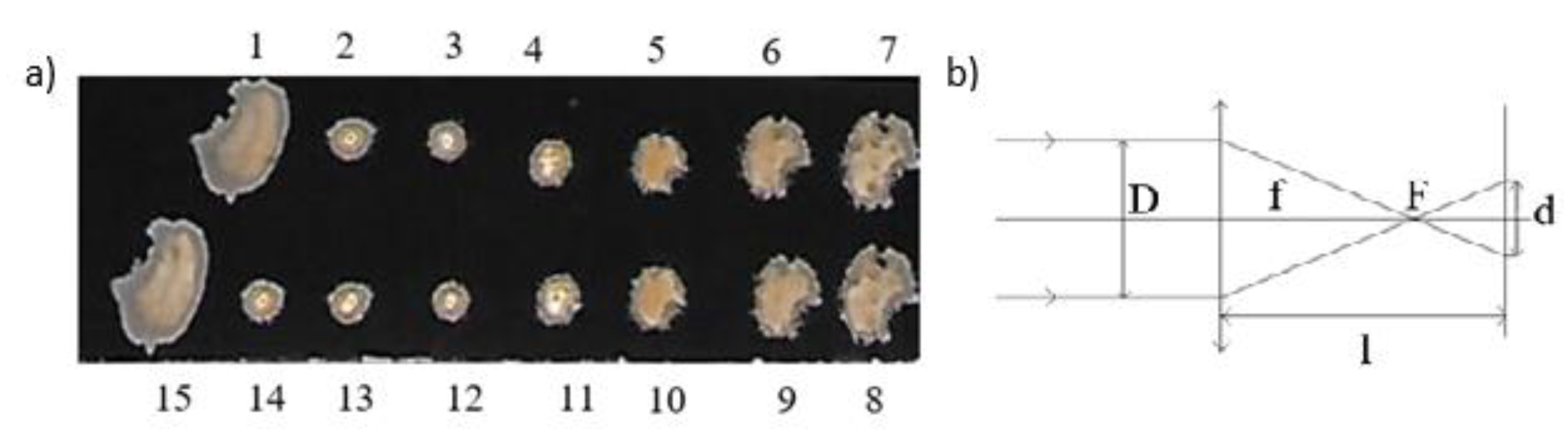 Materials 14 07016 g001