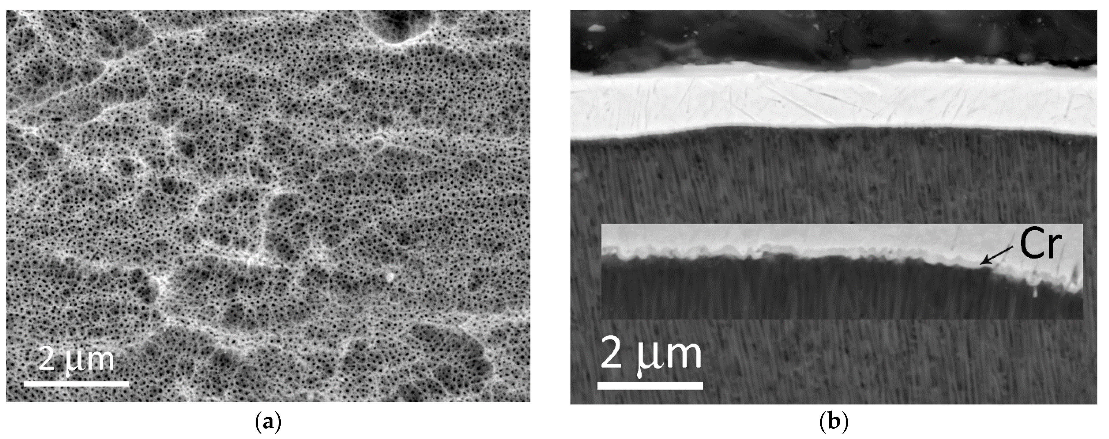 Materials 14 07028 g004 550