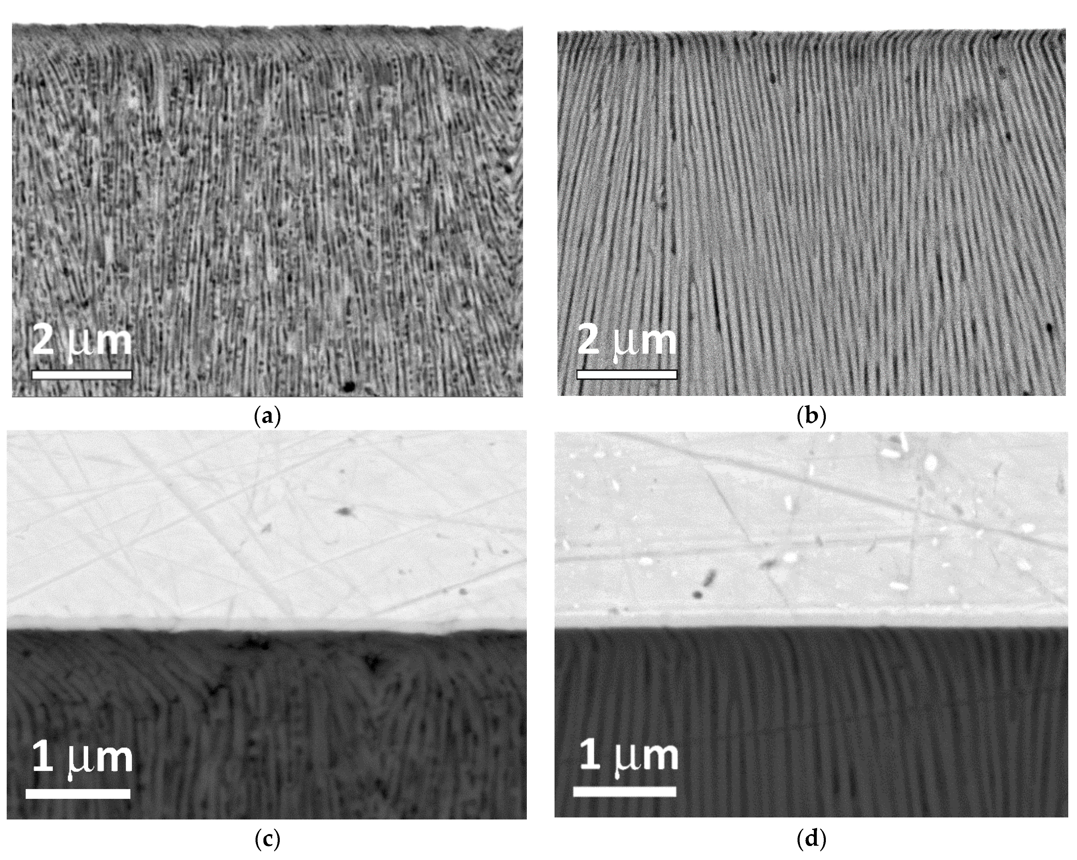 Materials 14 07028 g005 550