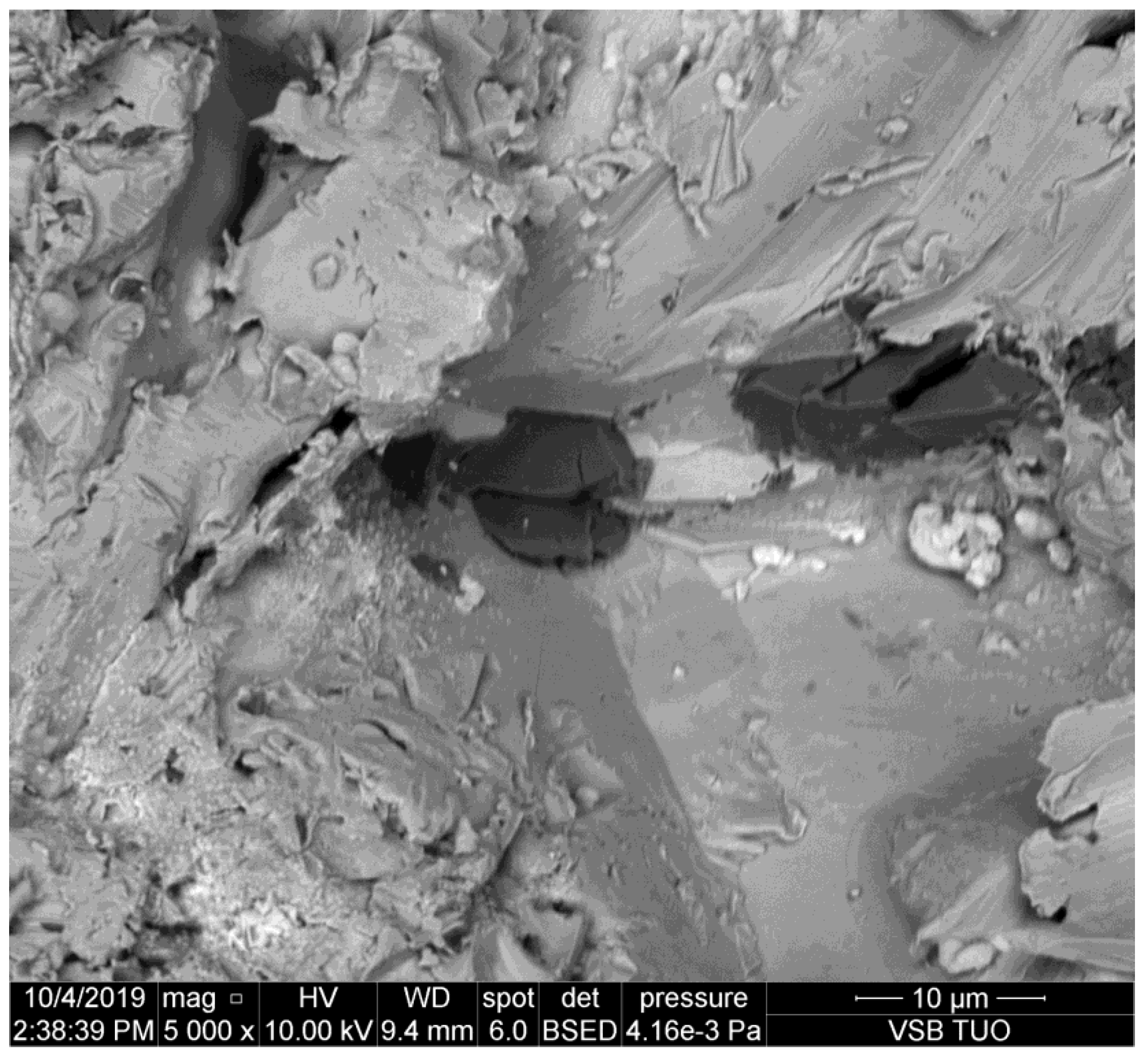 Materials 14 07032 g003 550