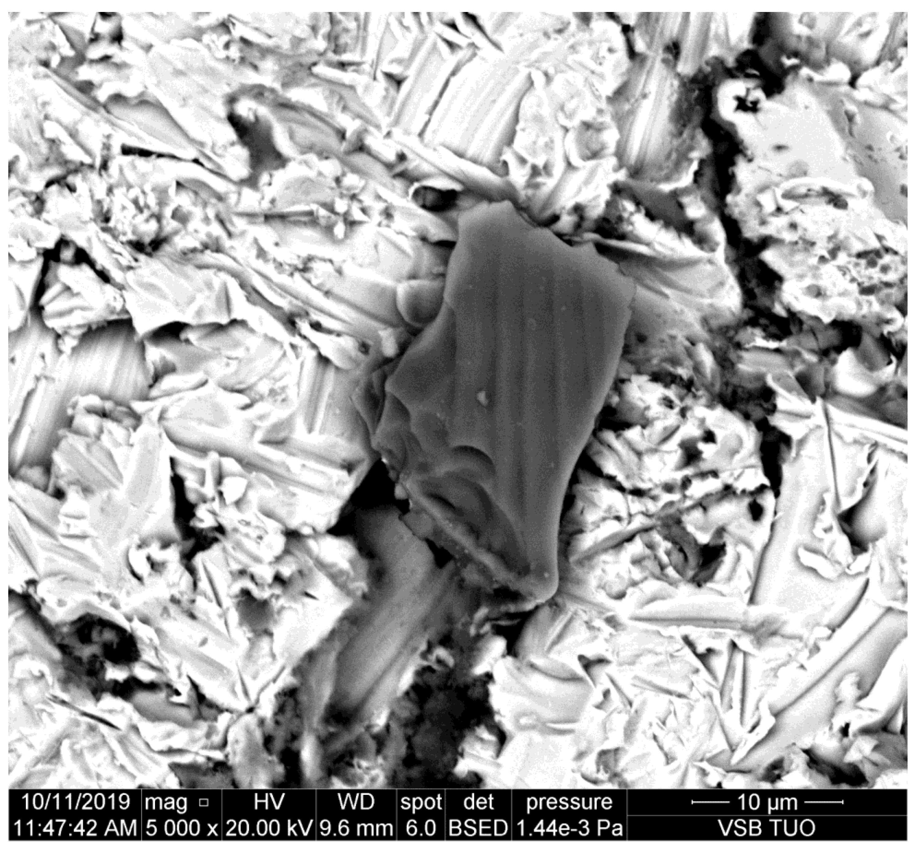 Materials 14 07032 g005 550