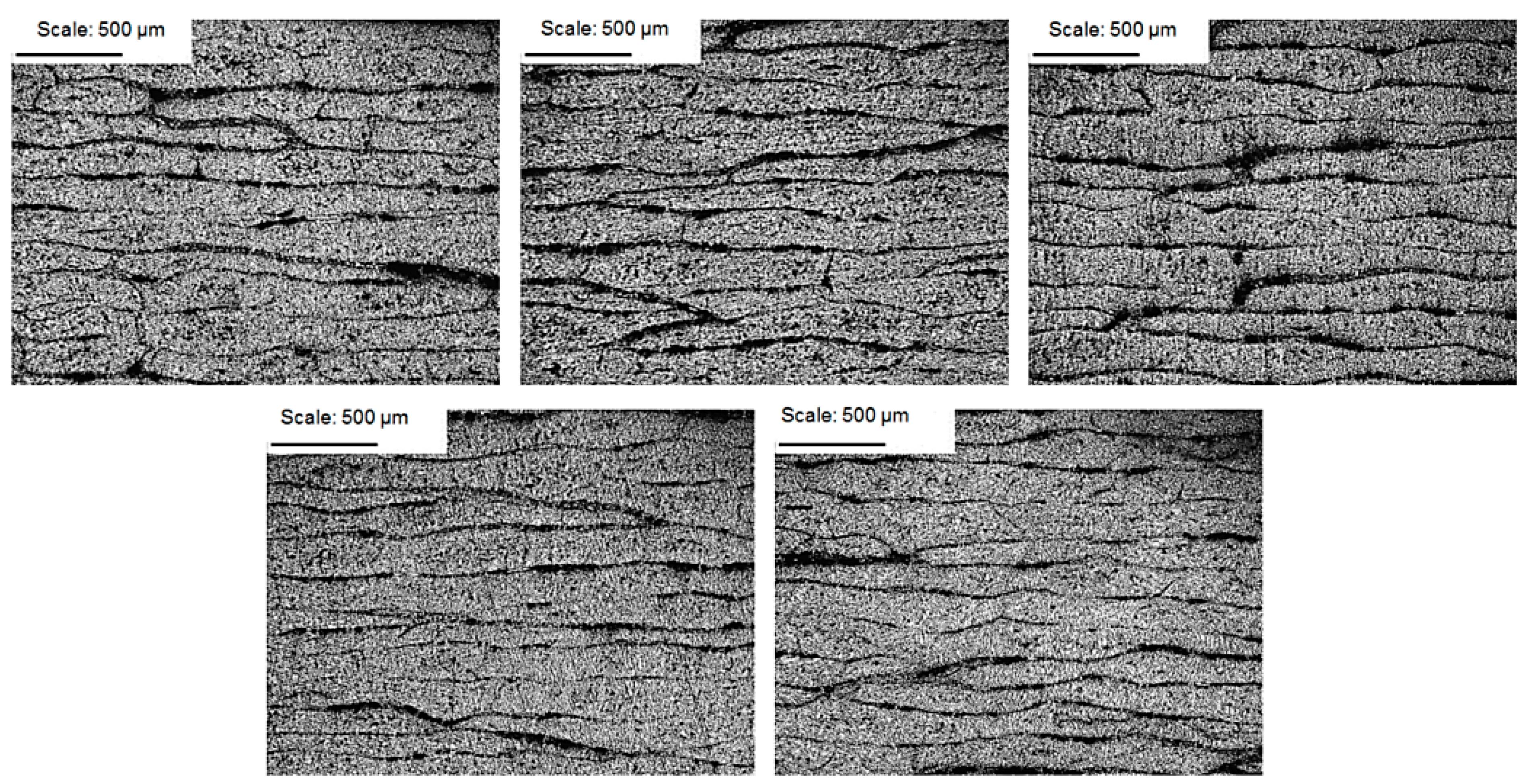 Materials 14 07037 g008 550