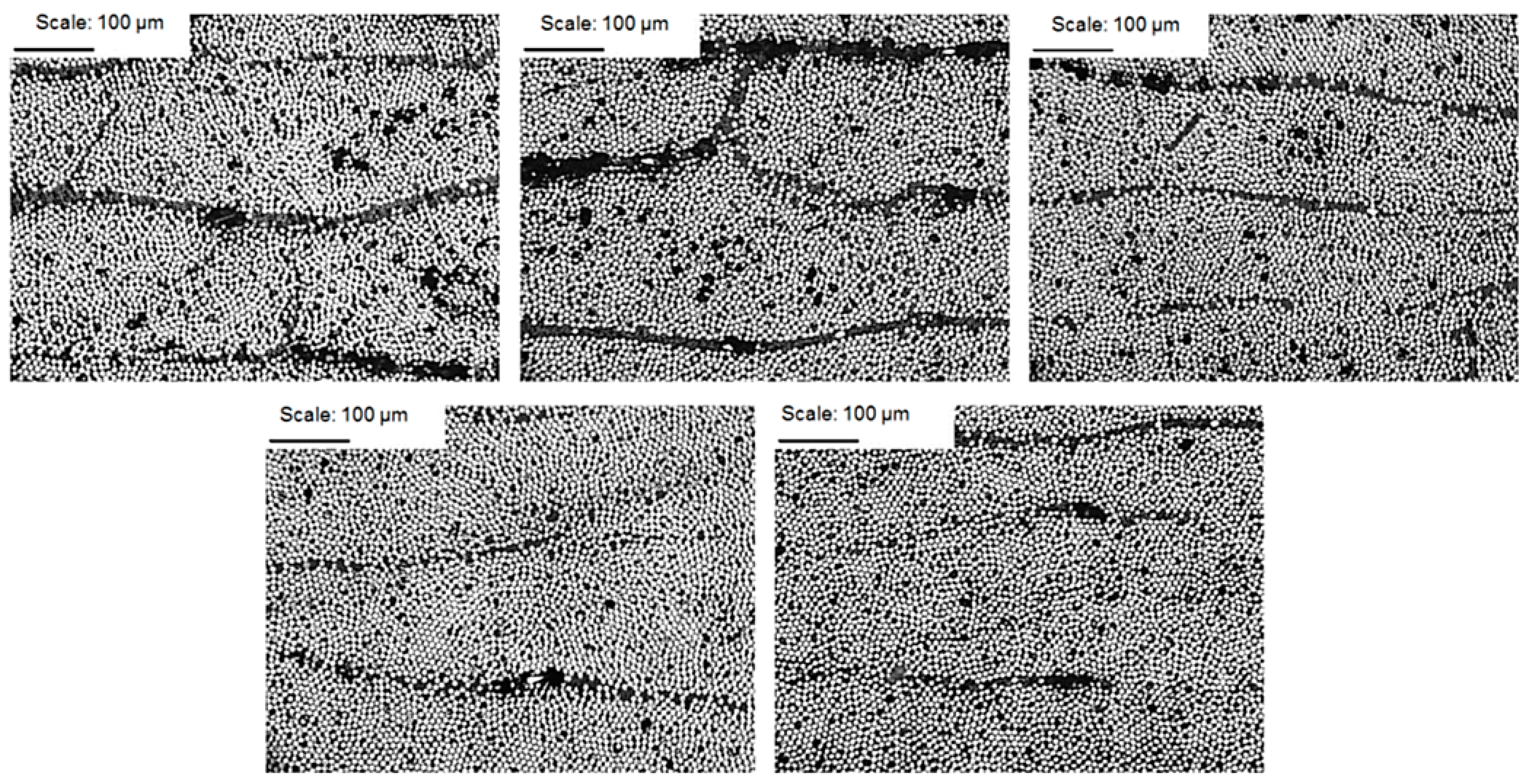 Materials 14 07037 g009 550