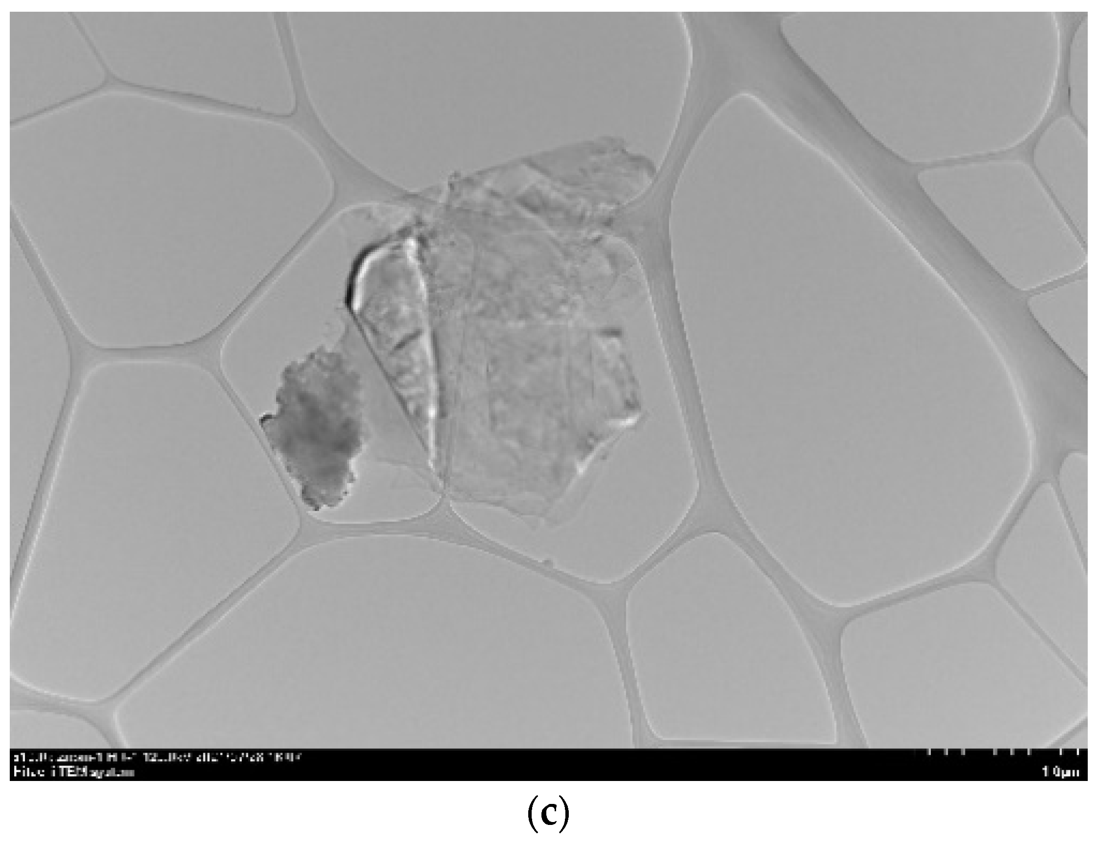 Materials 14 07054 g003b