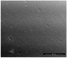 Materials 14 07067 i002