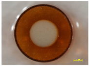 Materials 14 07067 i007