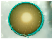 Materials 14 07067 i010