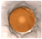 Materials 14 07067 i022