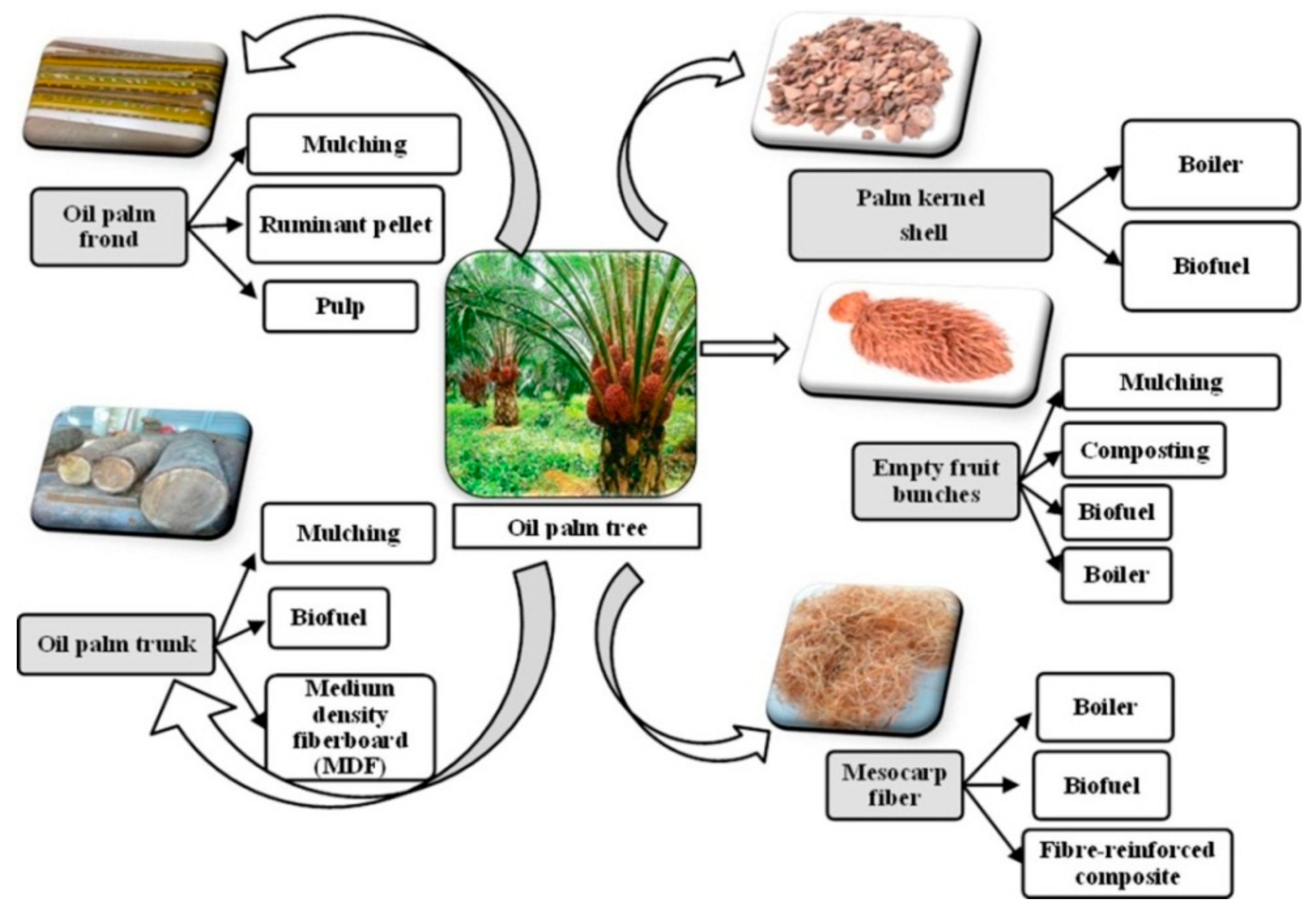 Materials 14 07074 g001 Materials 14 07074 g001