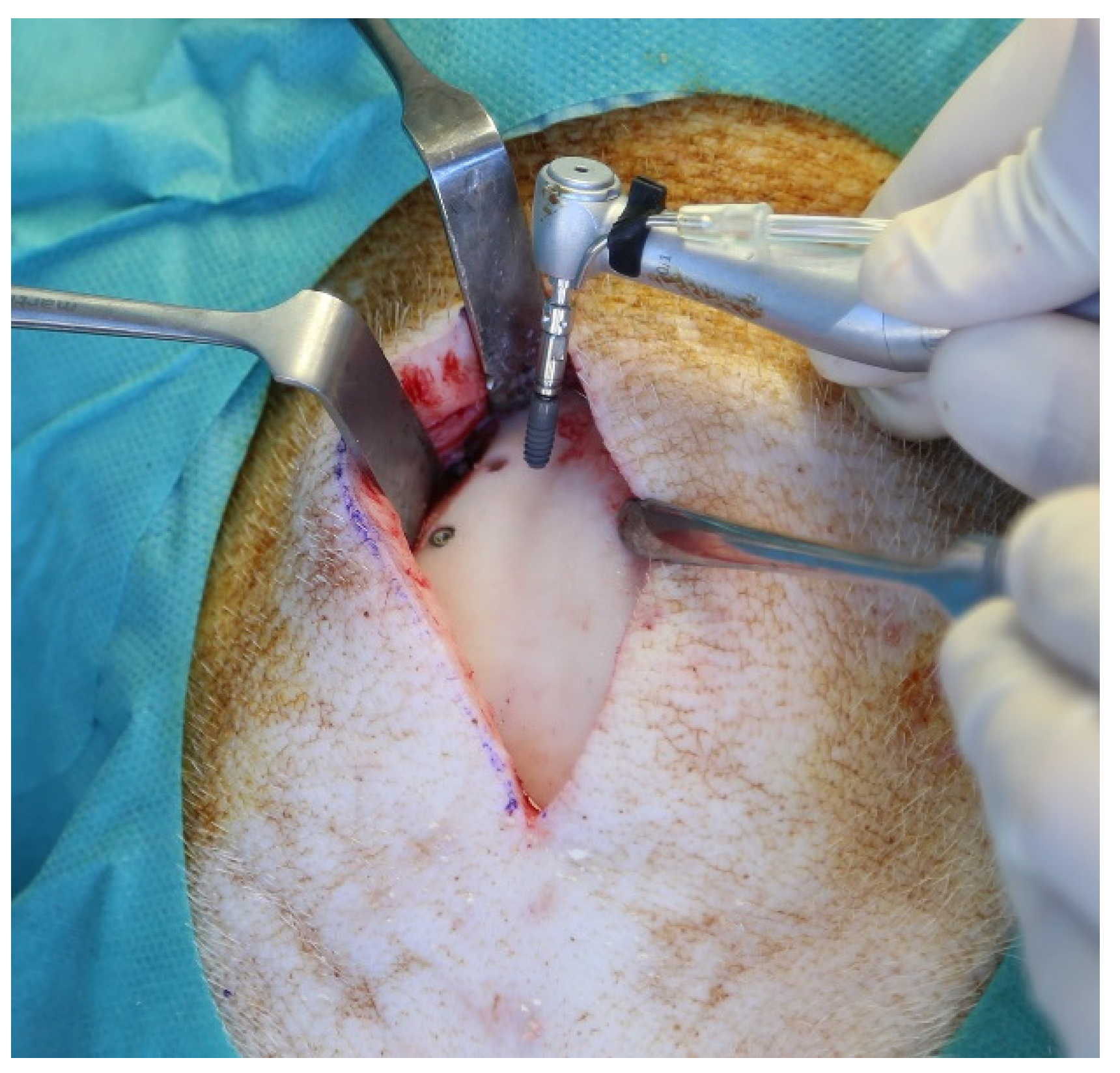 Materials 14 07076 g001 550