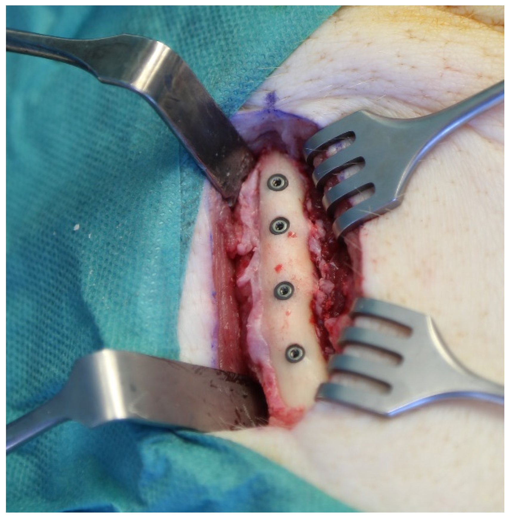 Materials 14 07076 g002 550