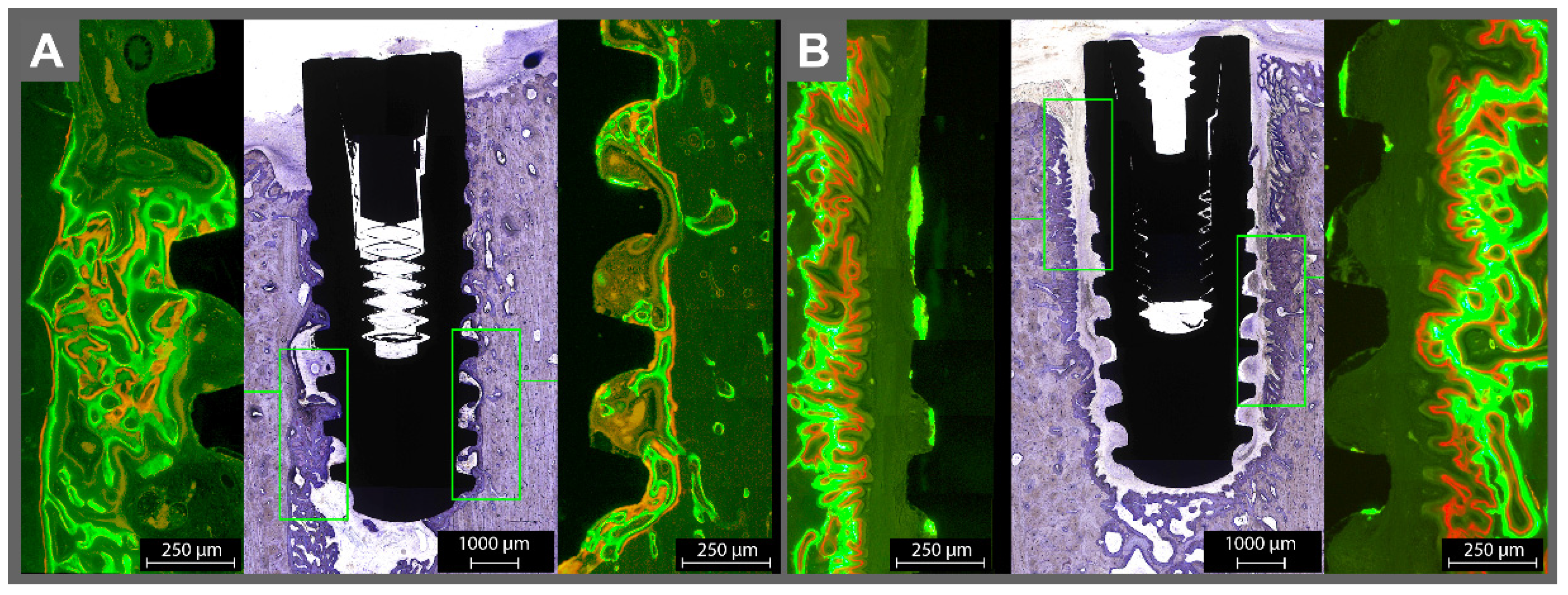 Materials 14 07076 g004 550