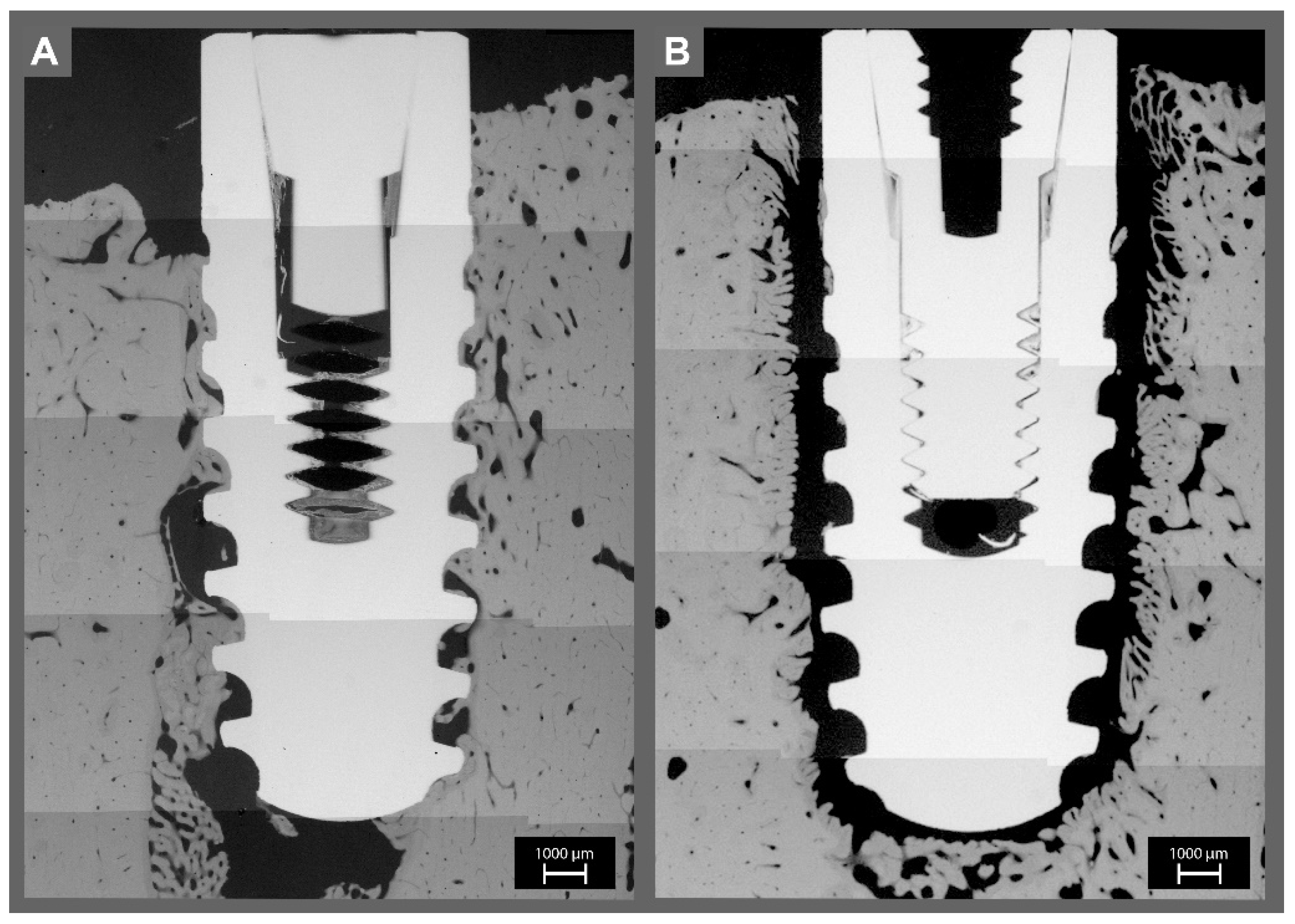 Materials 14 07076 g006 550