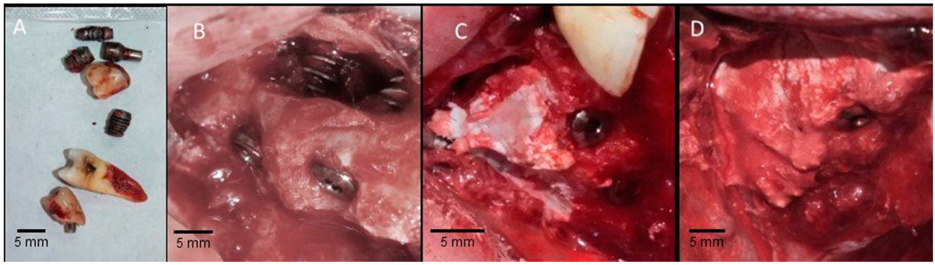 Materials 14 07084 g002