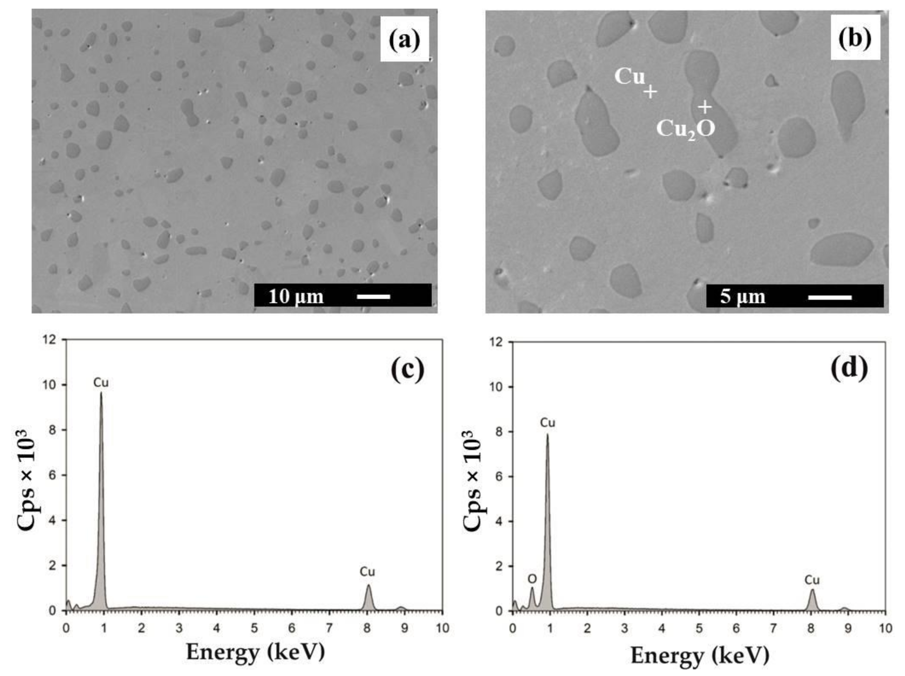 Materials 14 07089 g001 550