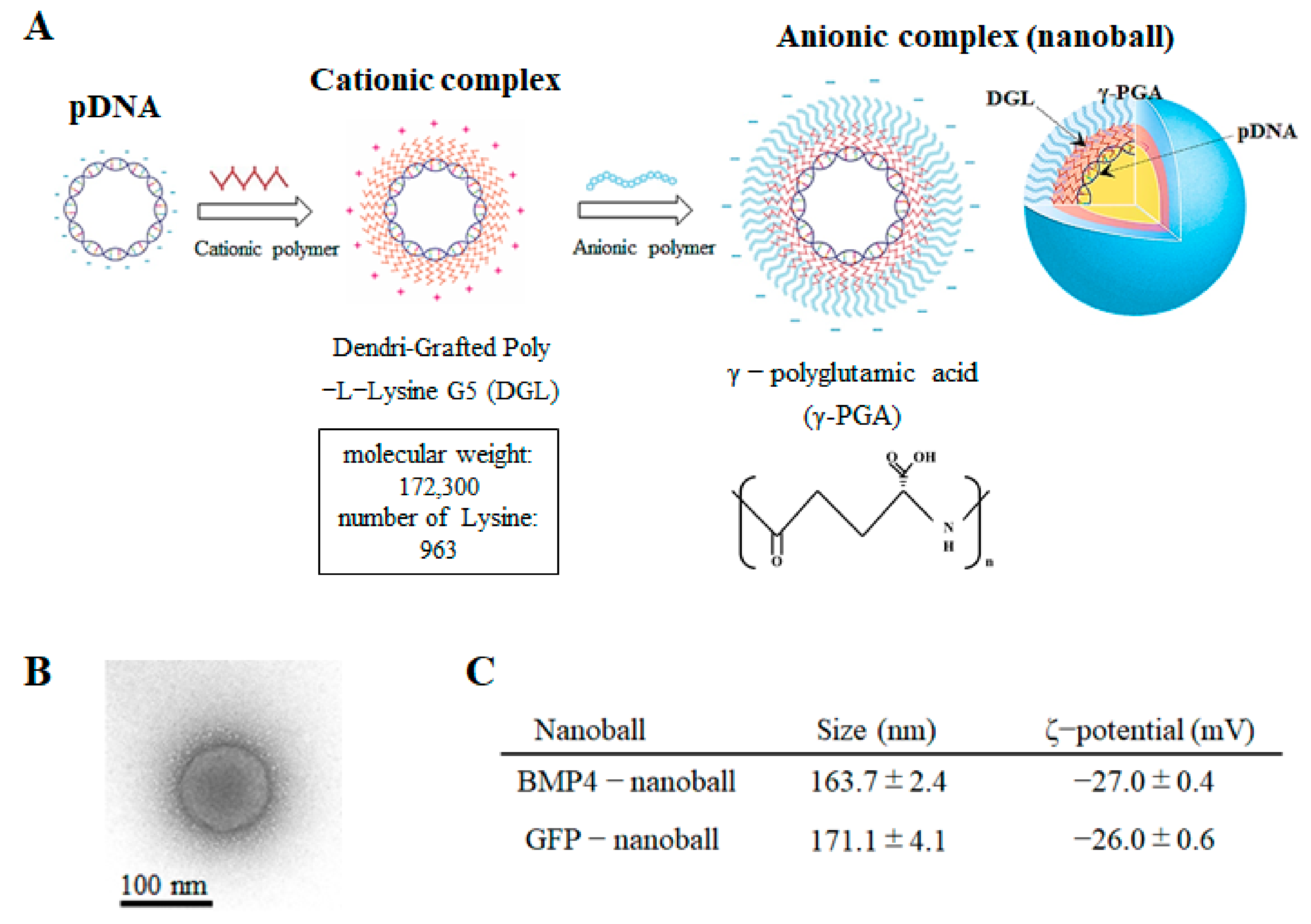 Materials 14 07097 g001