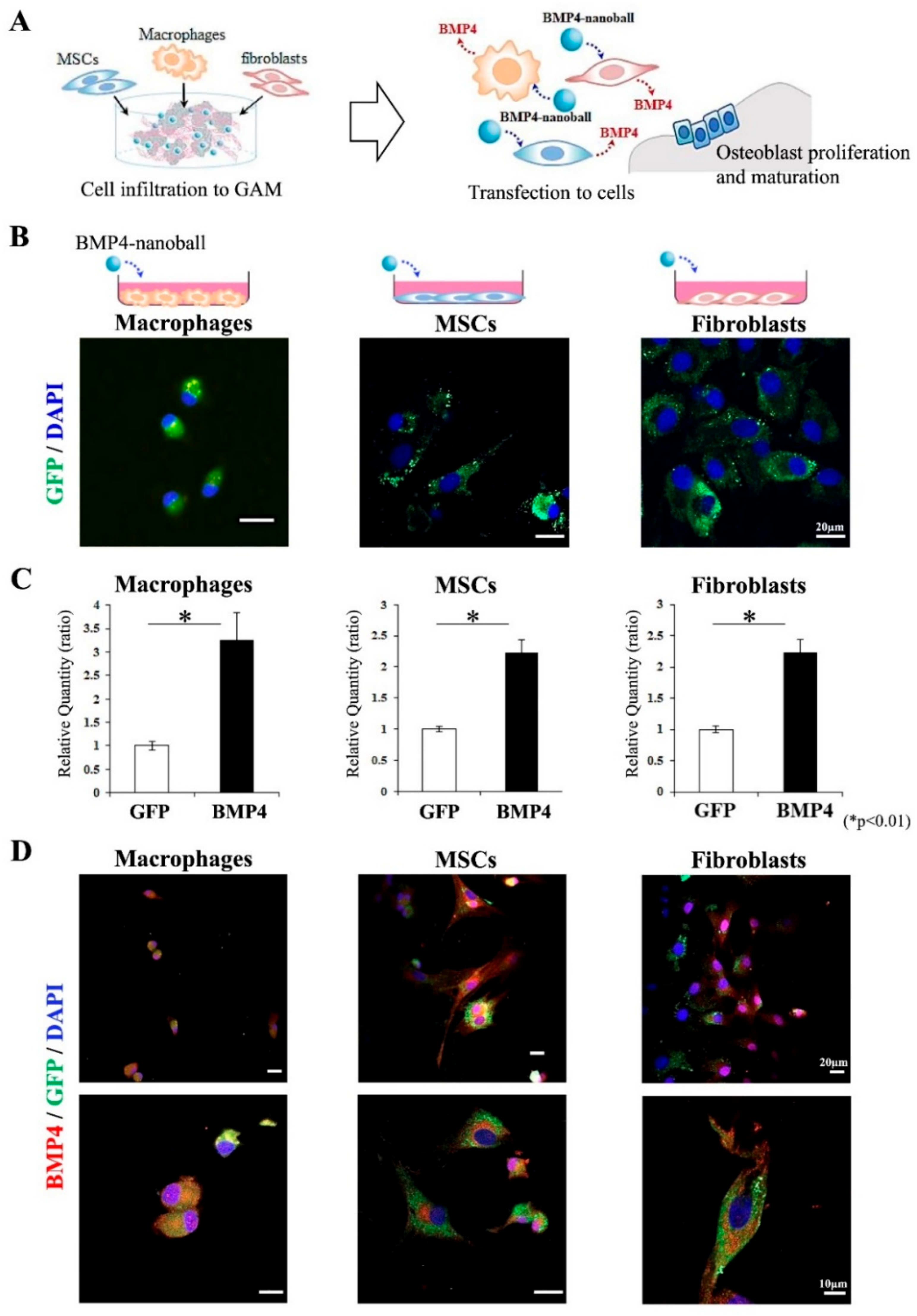 Materials 14 07097 g002