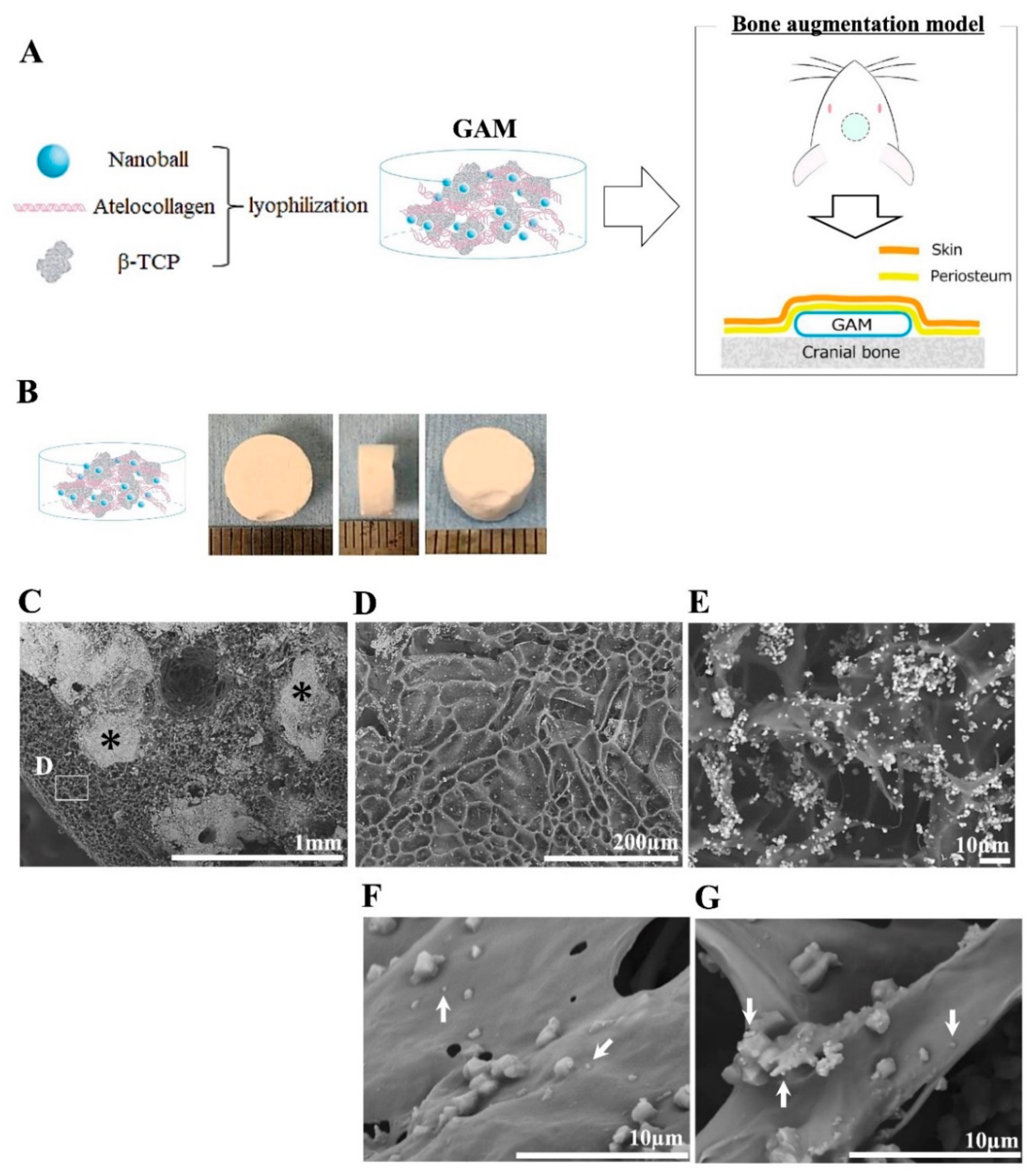 Materials 14 07097 g004