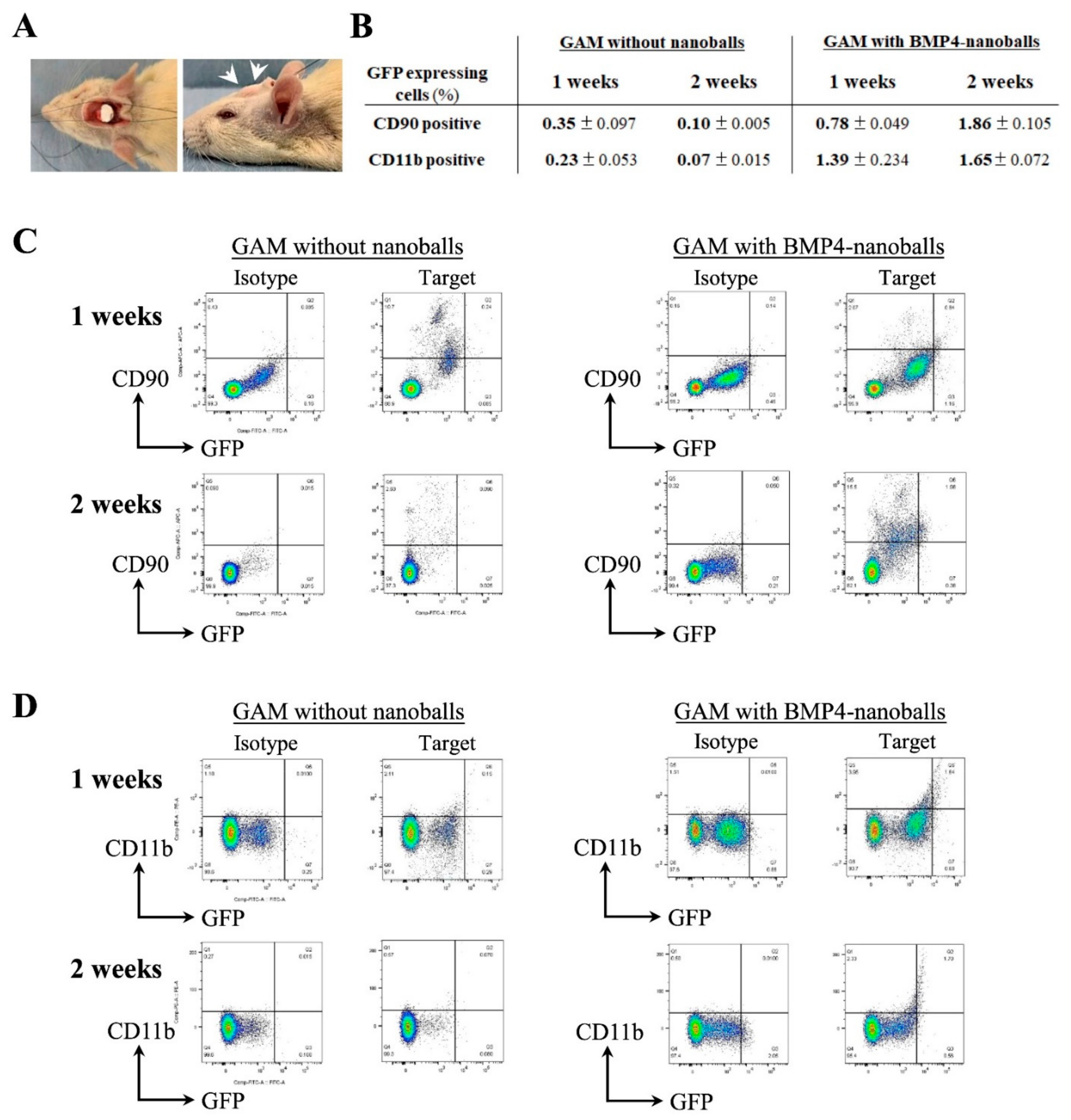 Materials 14 07097 g005
