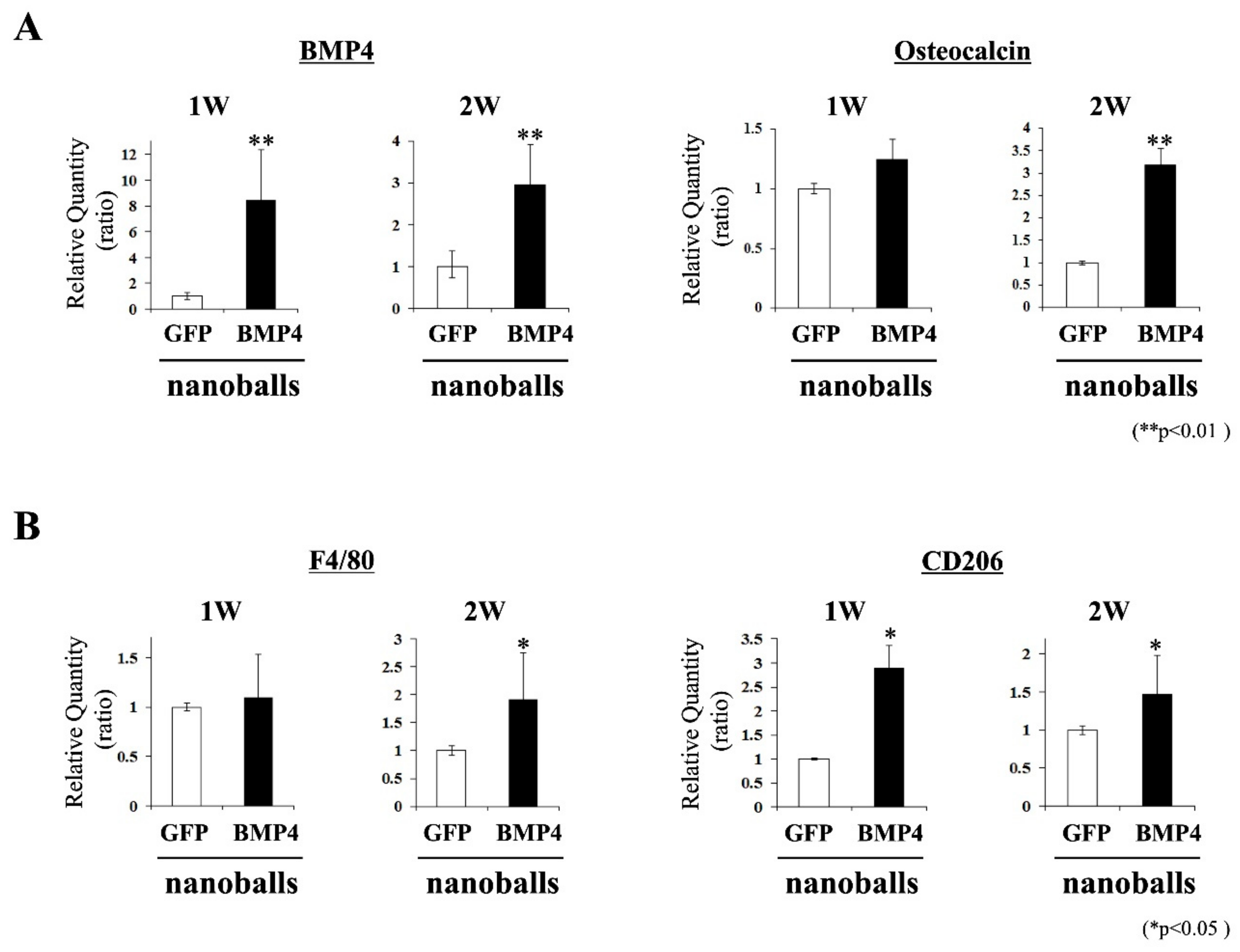 Materials 14 07097 g006