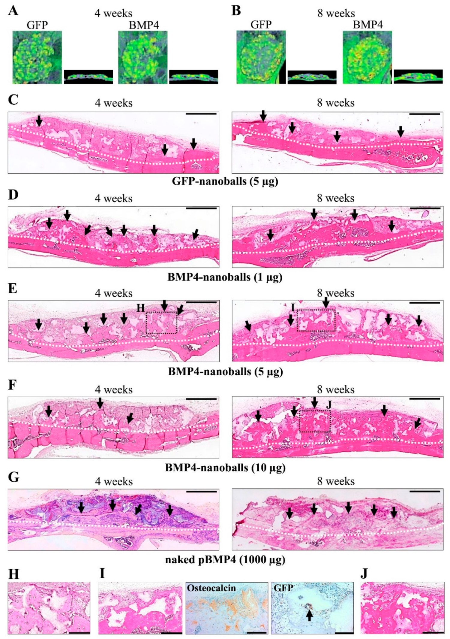 Materials 14 07097 g007