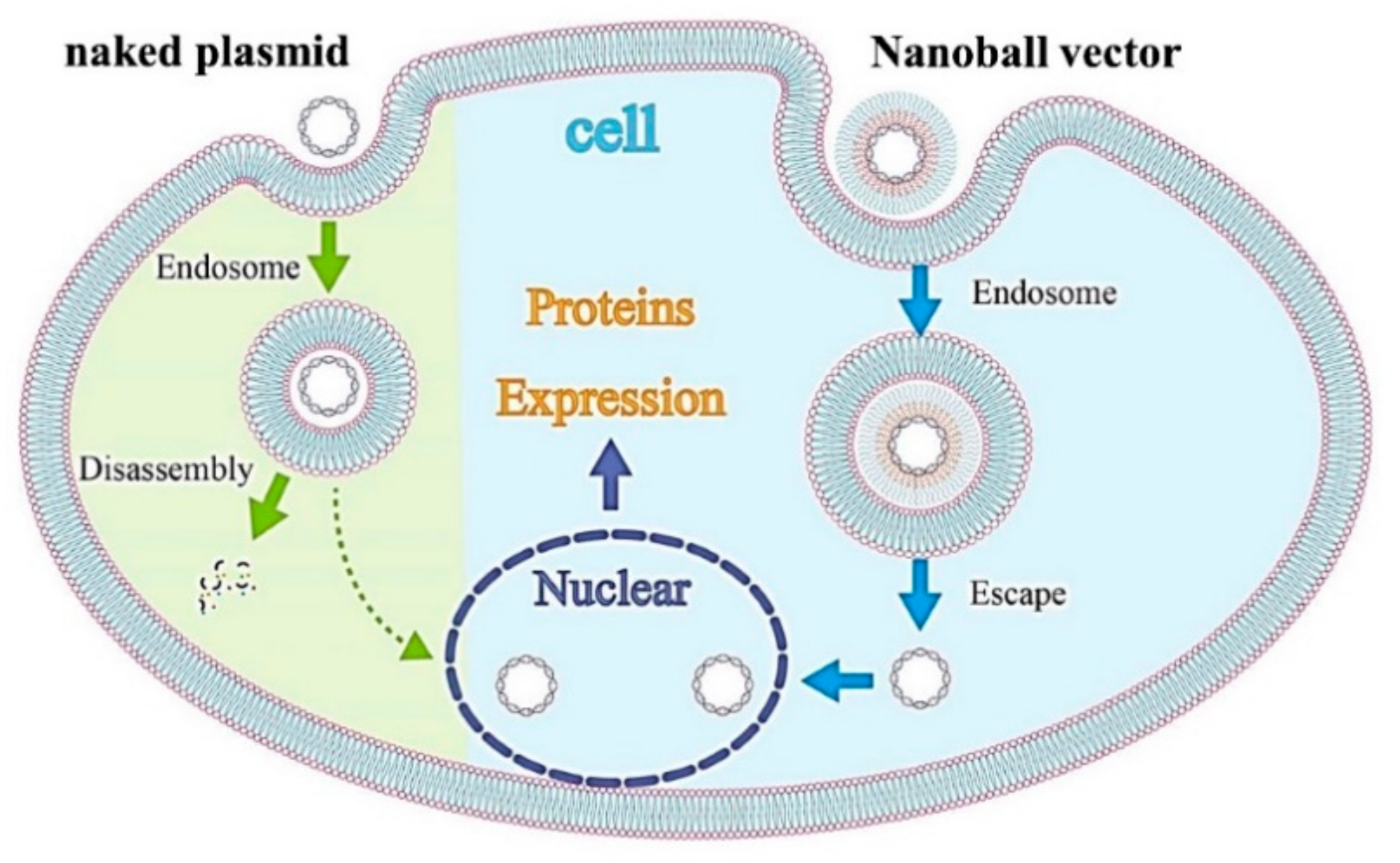 Materials 14 07097 g009
