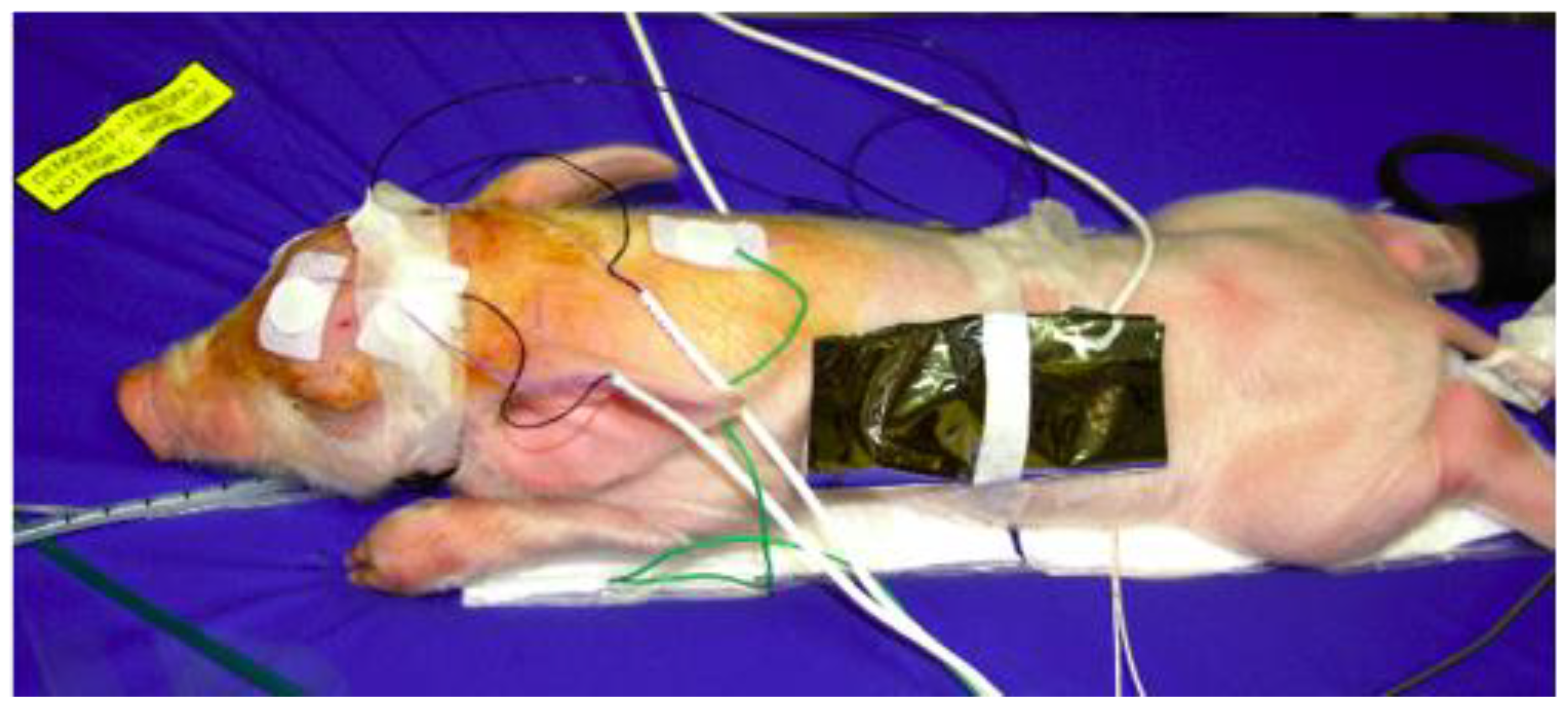 Materials 14 07106 g007