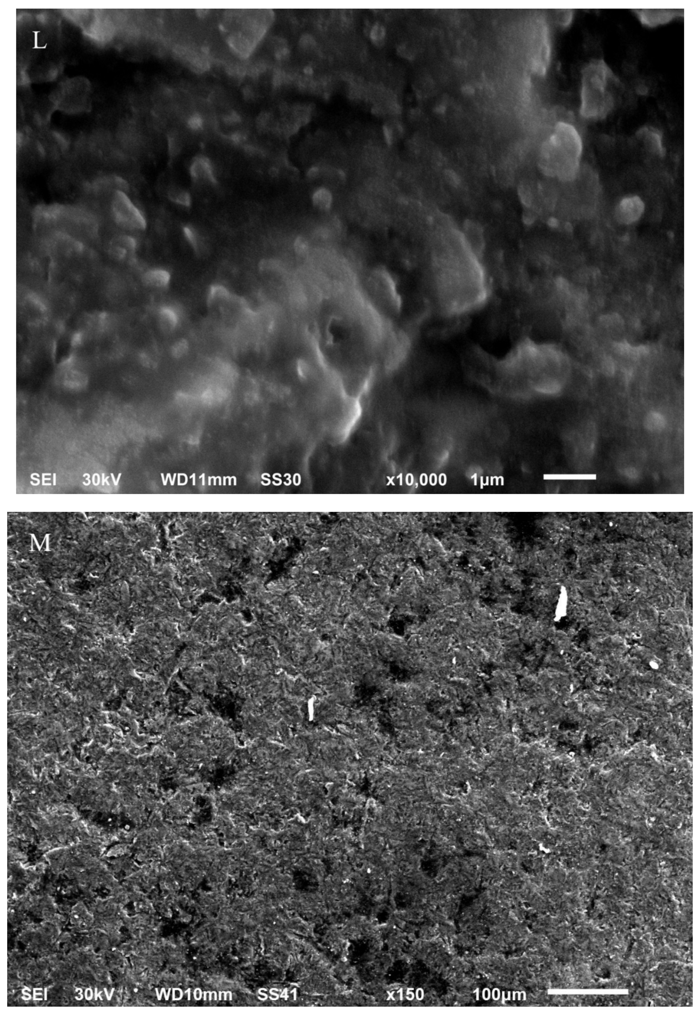 Materials 14 07107 g001g