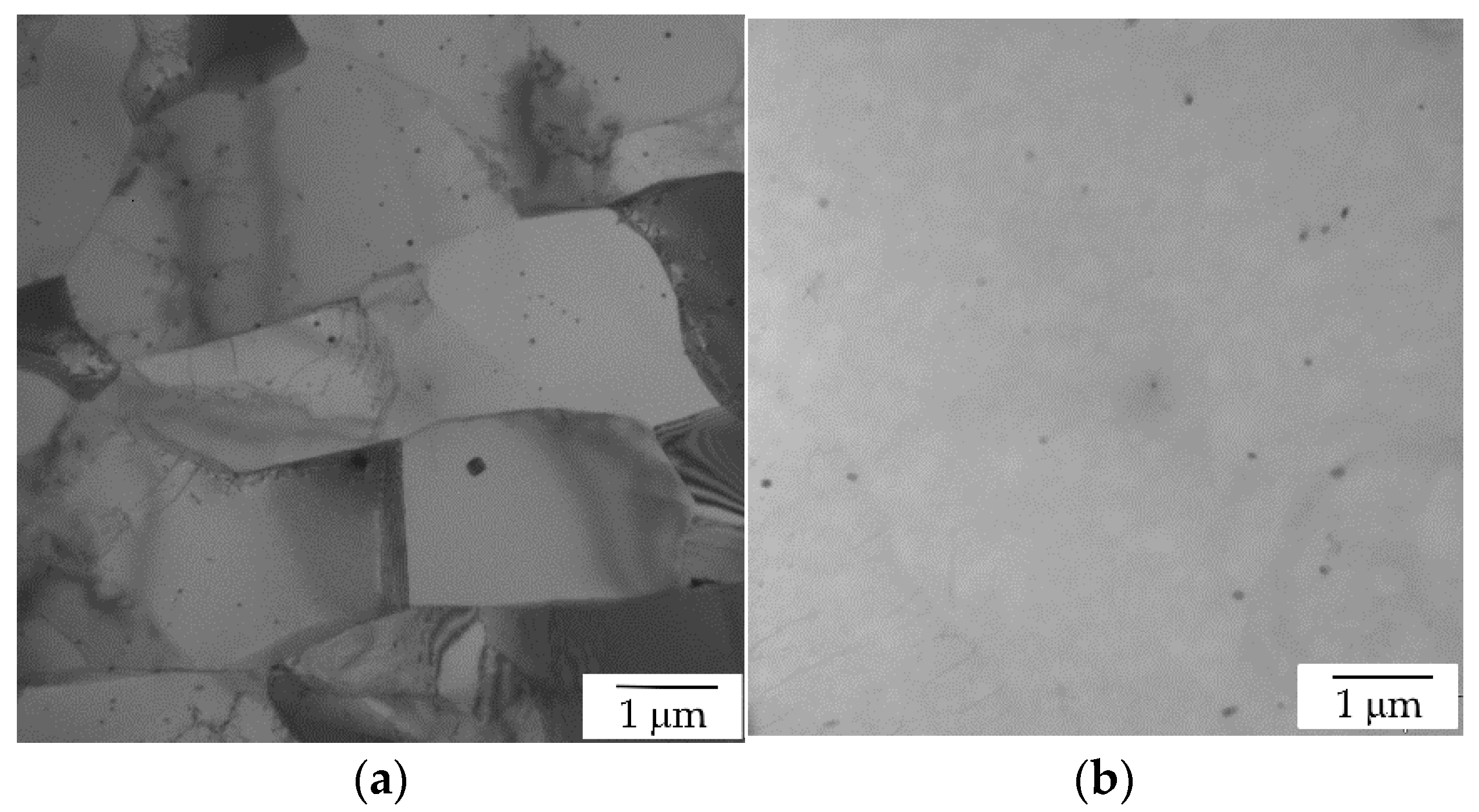 Materials 14 07122 g007