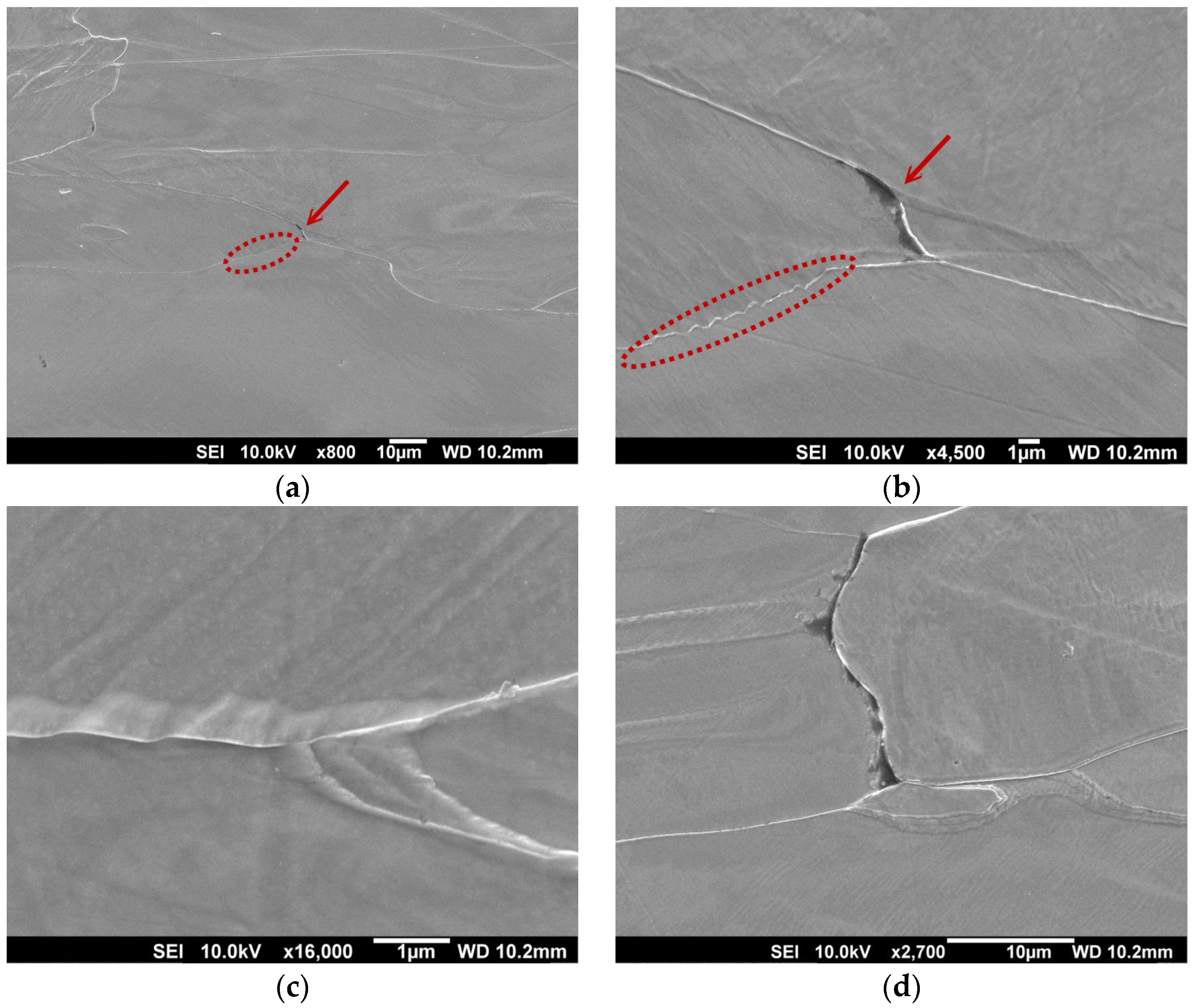 Materials 14 07124 g008