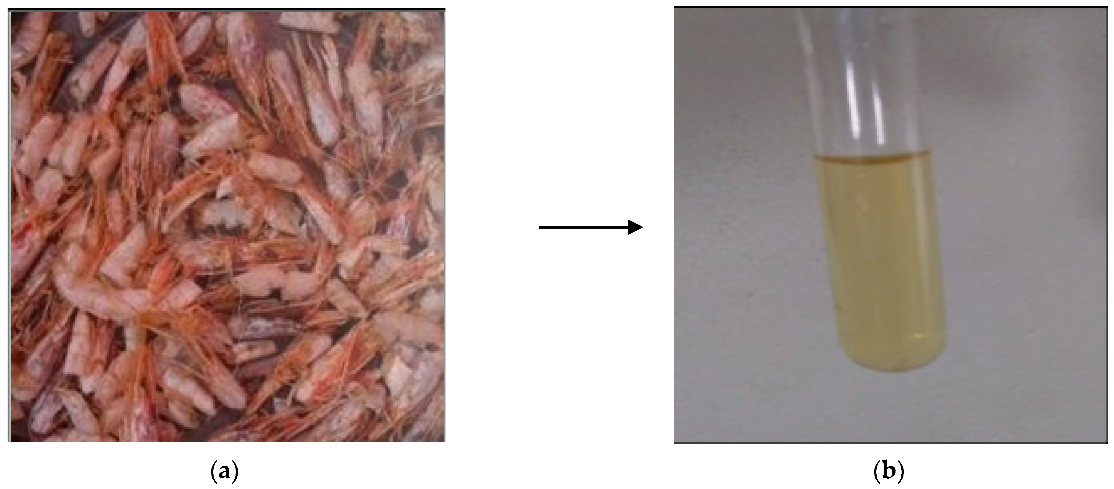 Materials 14 07133 g001