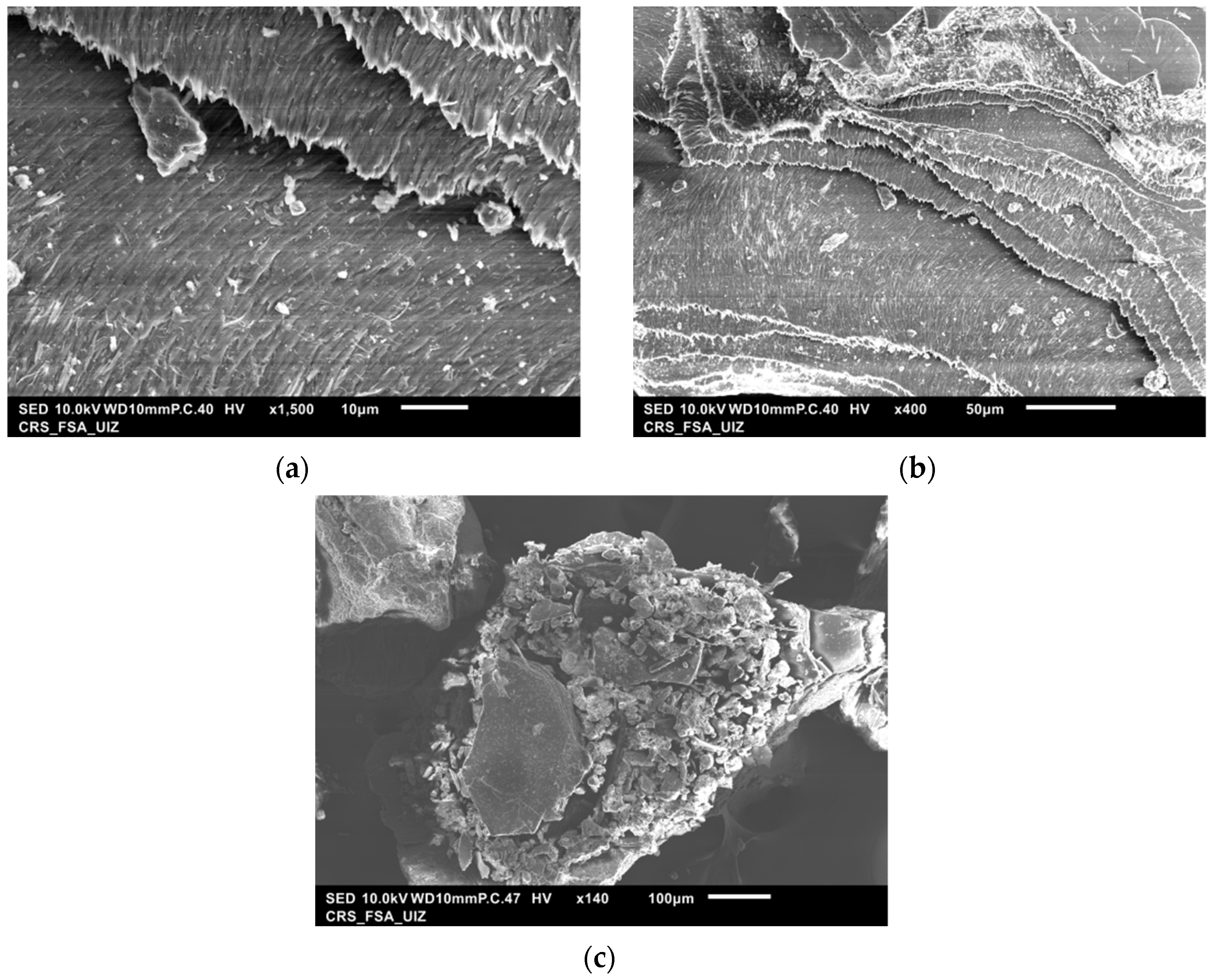 Materials 14 07133 g002