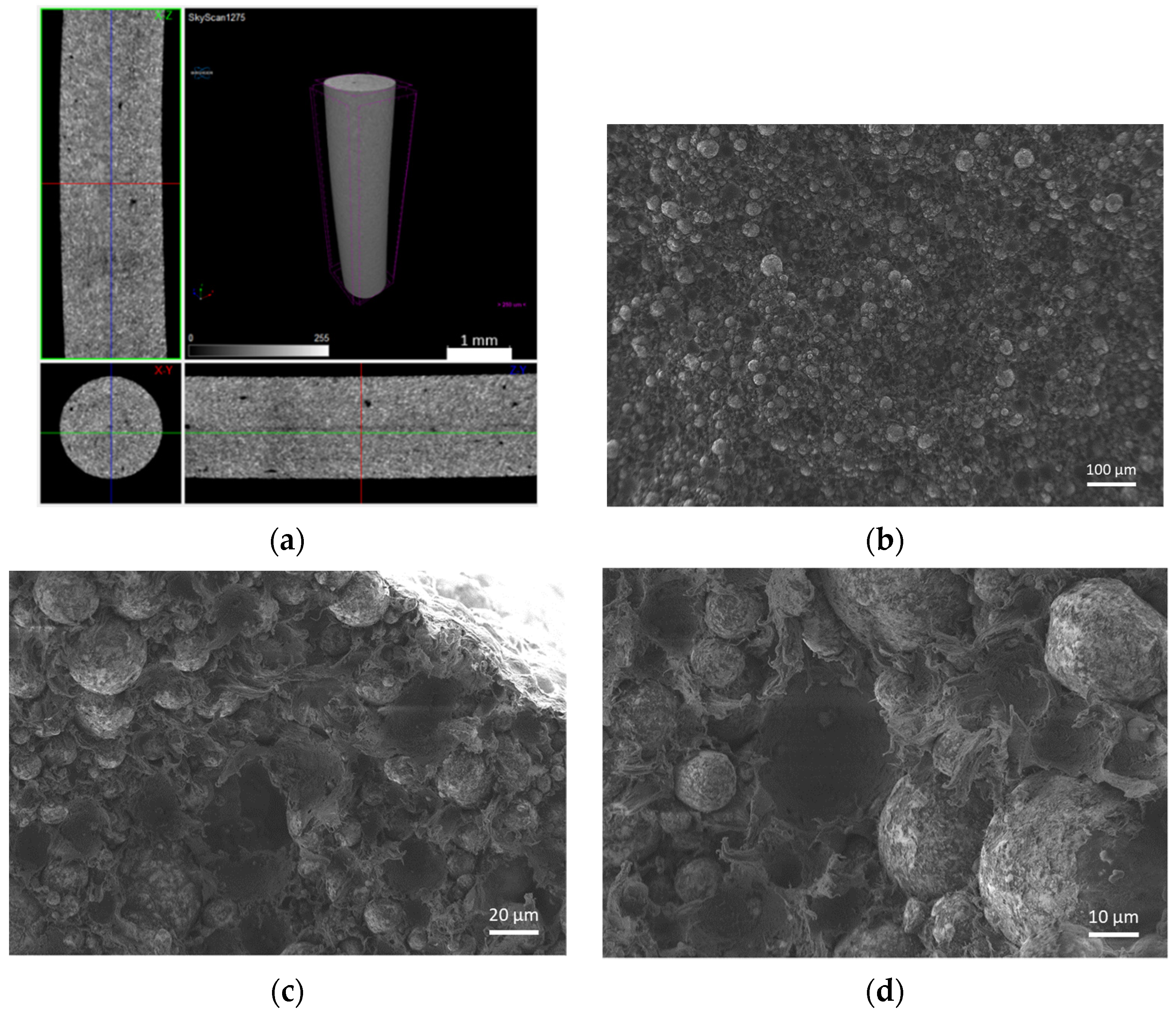 Materials 14 07136 g008 Materials 14 07136 g008