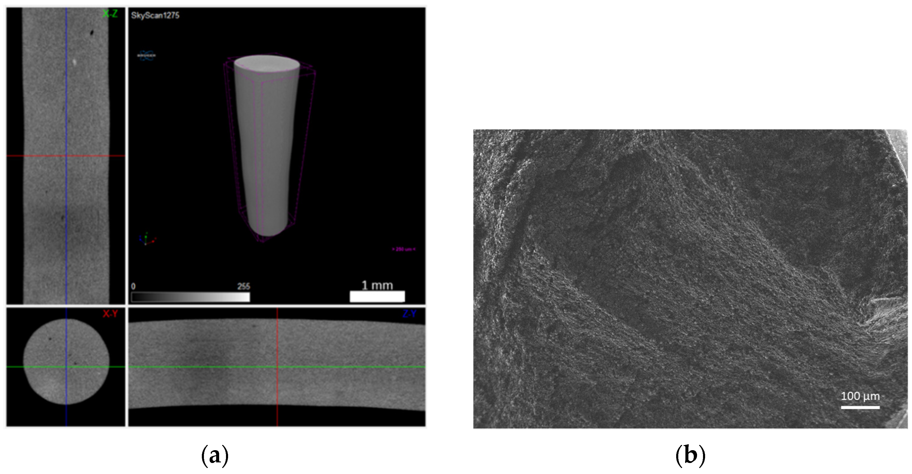 Materials 14 07136 g010a Materials 14 07136 g010a