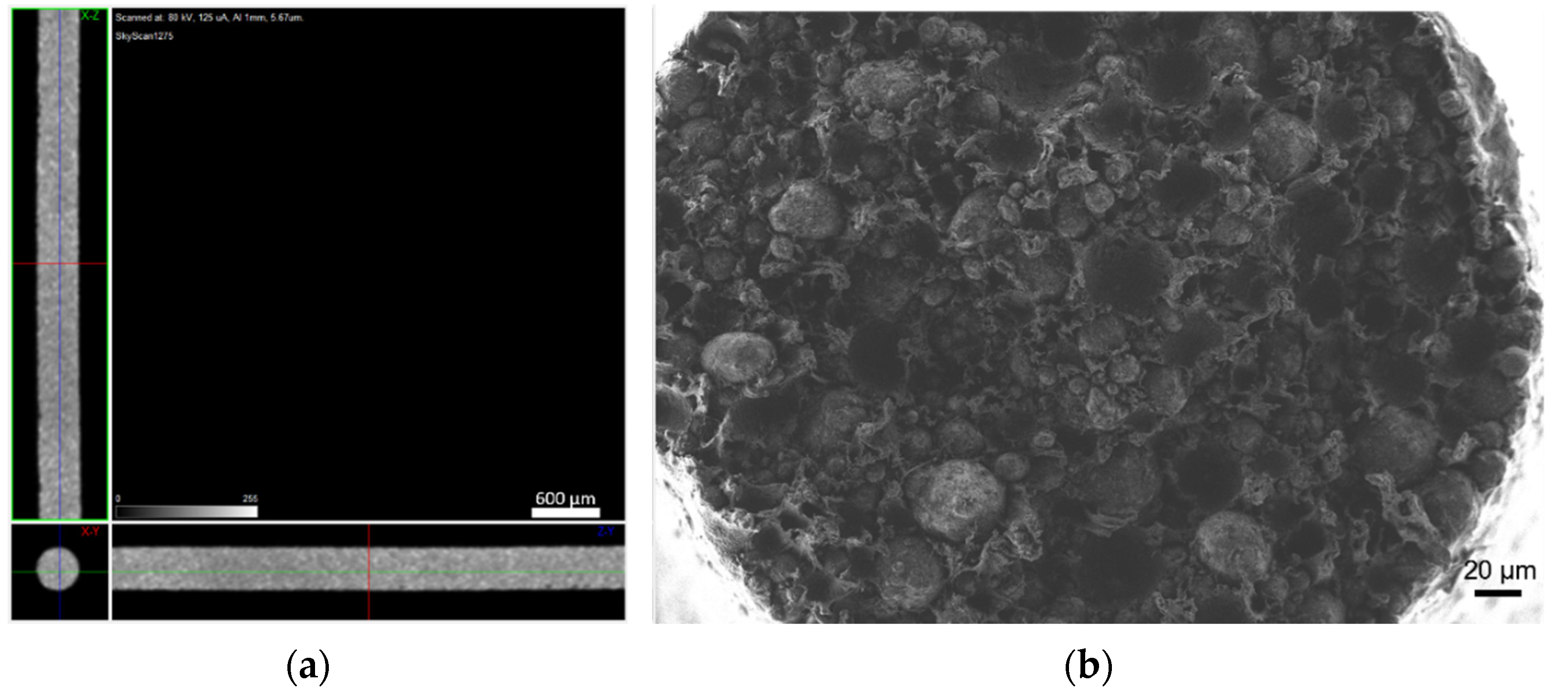 Materials 14 07136 g013 Materials 14 07136 g013