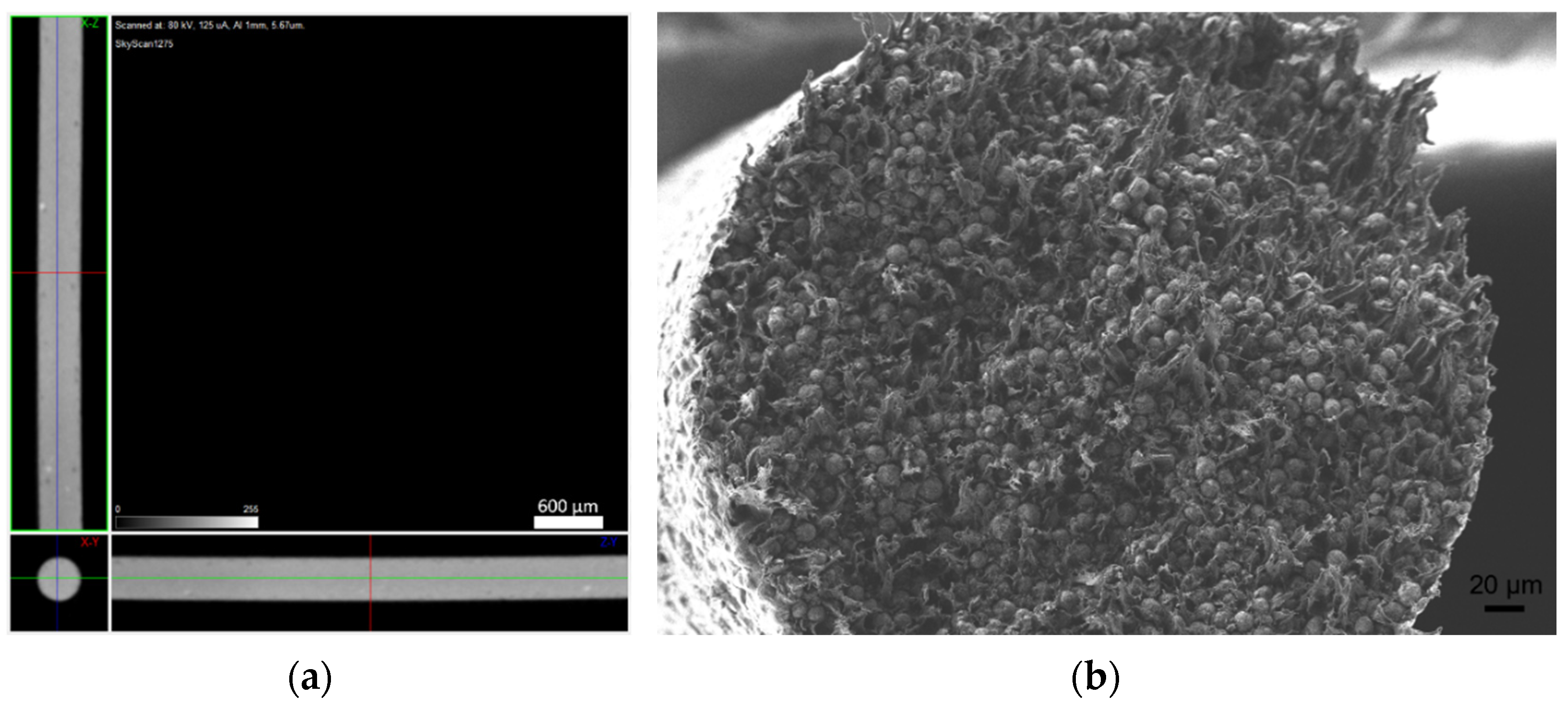 Materials 14 07136 g014 Materials 14 07136 g014