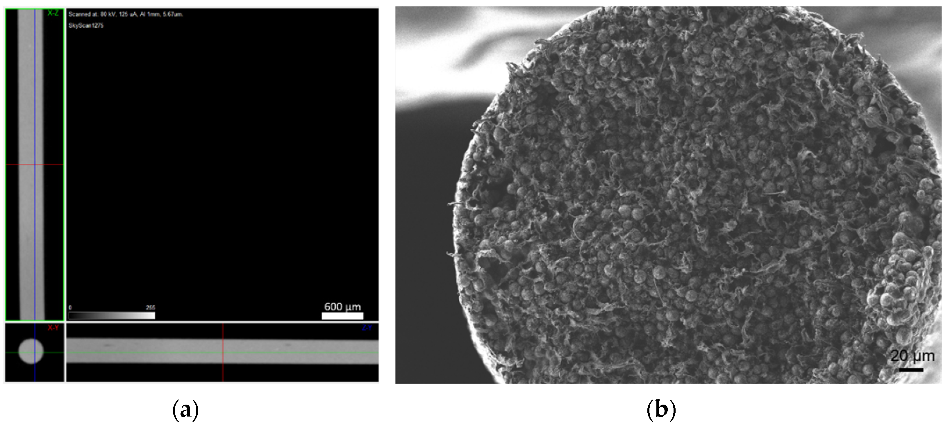 Materials 14 07136 g015 Materials 14 07136 g015