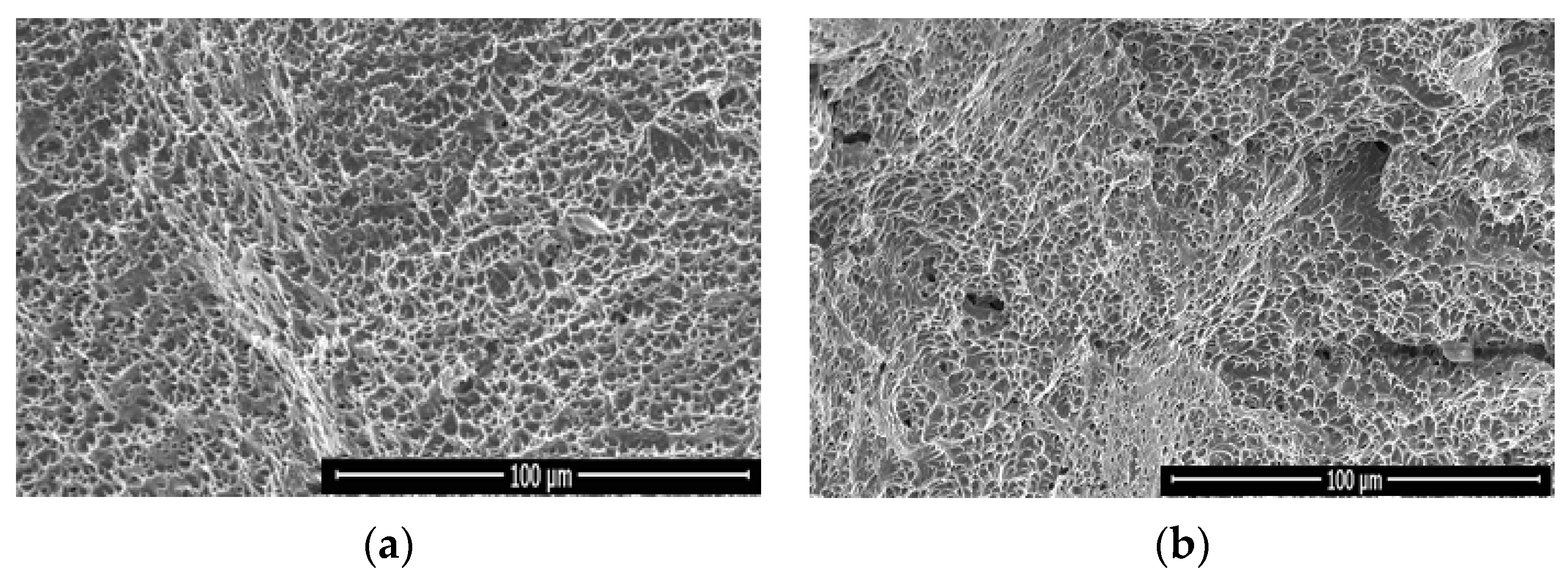 Materials 14 07139 g013