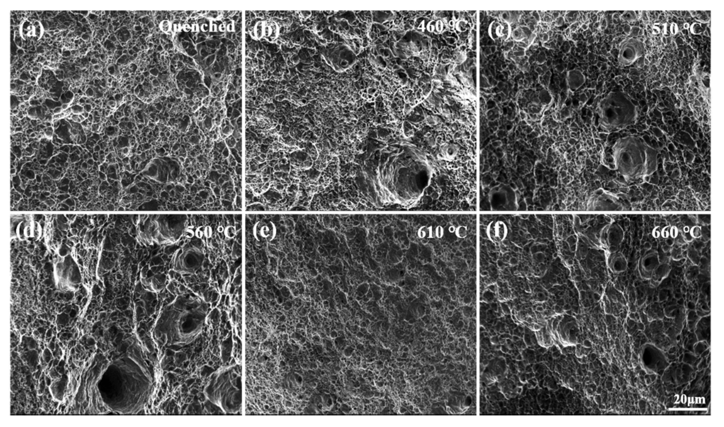 Materials 14 07141 g005 550