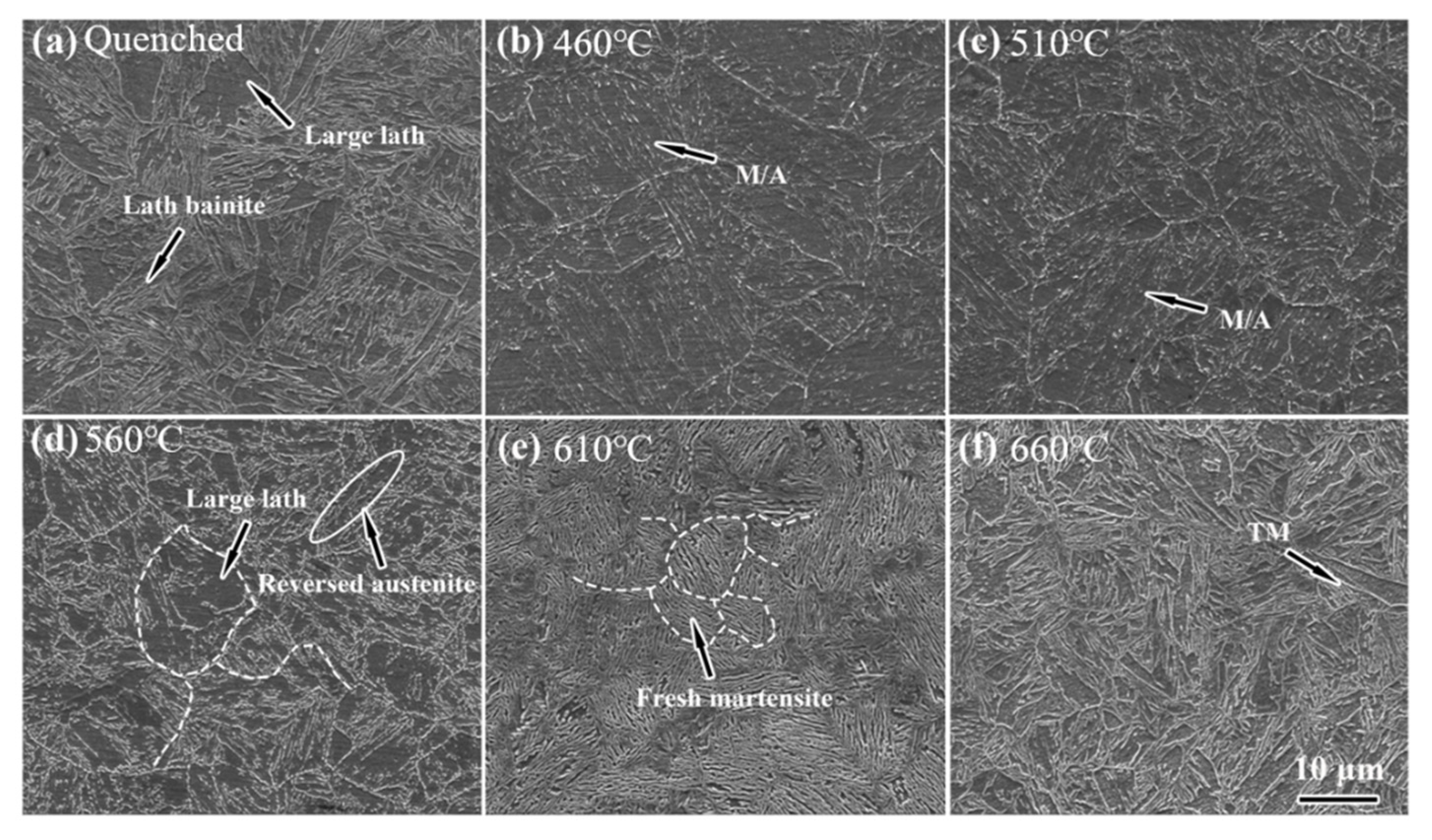 Materials 14 07141 g007 550