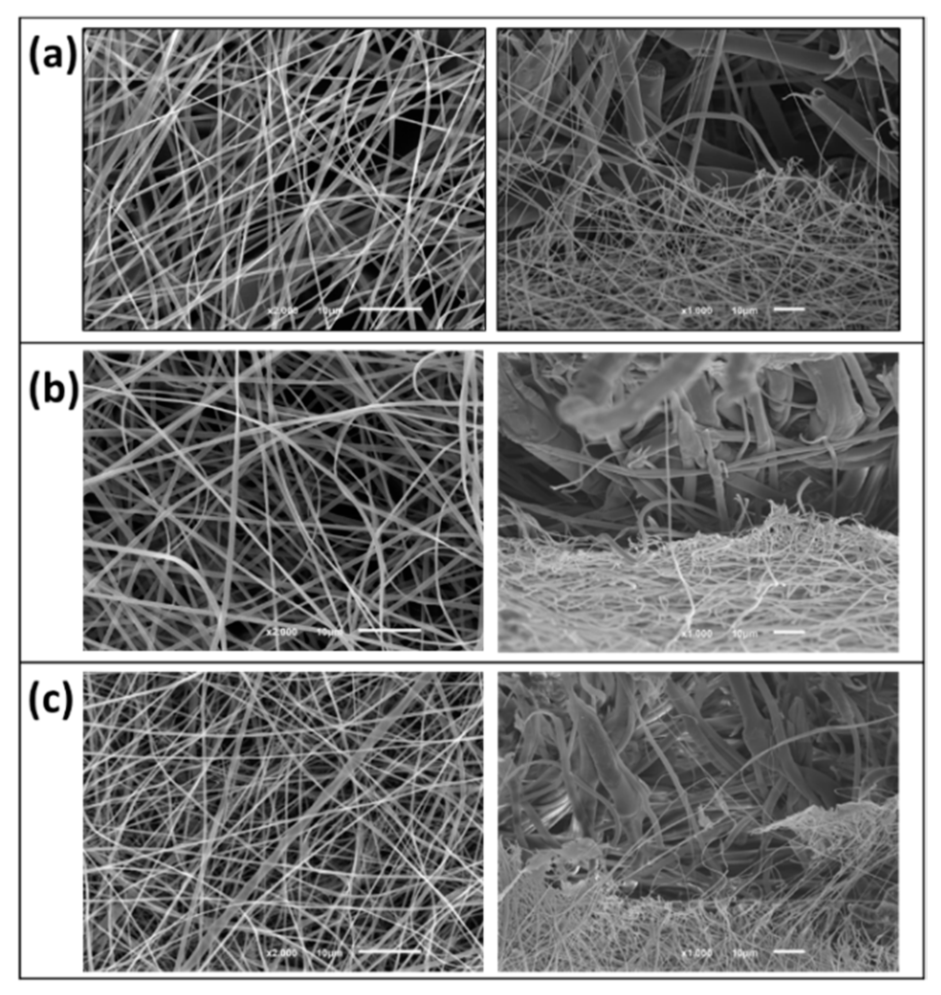 Materials 14 07147 g008 550