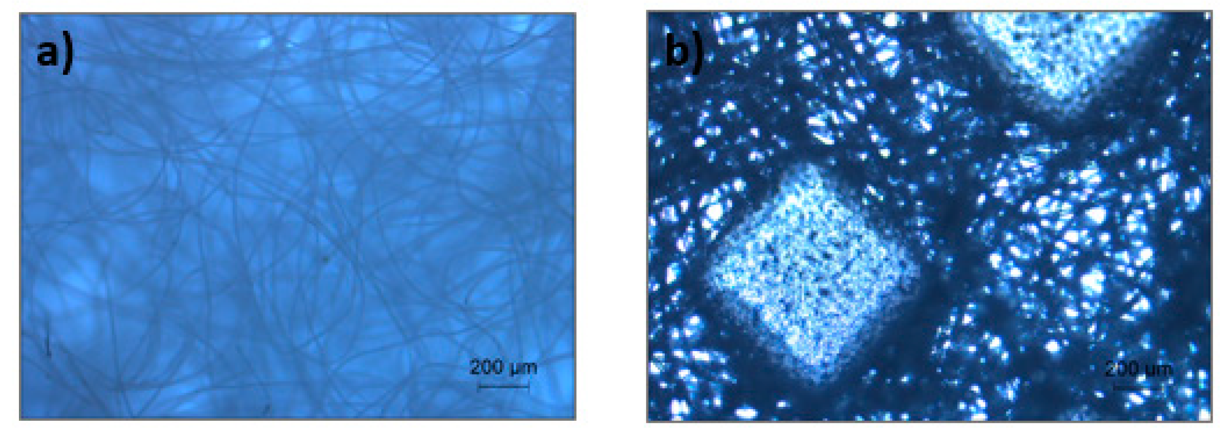 Materials 14 07147 g009 550