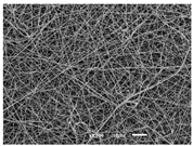 Materials 14 07147 i001