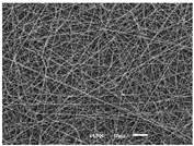 Materials 14 07147 i007